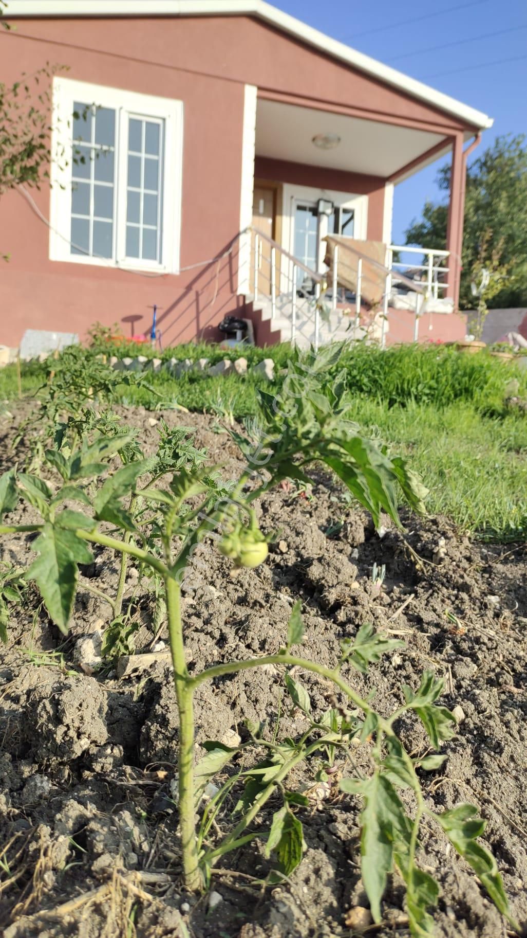 Kırklareli Pınarhisar Tozaklı 1,160 Mt² Arsa İçerisinde Satılık Bahçeli Tek Tapu Frefabrik Köy Evi - Görsel 3