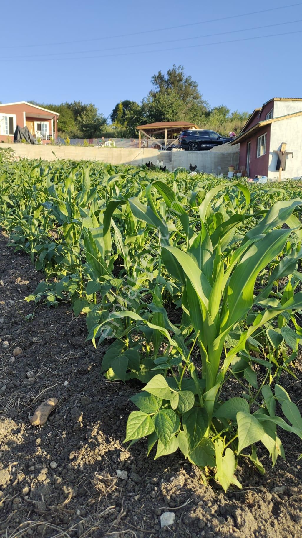 Kırklareli Pınarhisar Tozaklı 1,160 Mt² Arsa İçerisinde Satılık Bahçeli Tek Tapu Frefabrik Köy Evi - Görsel 5
