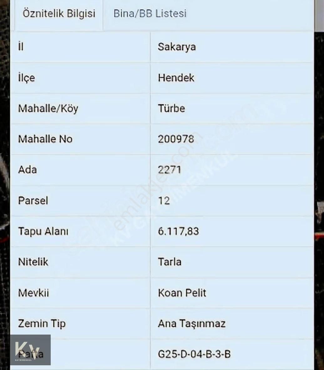 Kv Gayrimenkul'den Hendek Türbe Mahallesi Satılık Fındık Bahçesi - Görsel 12