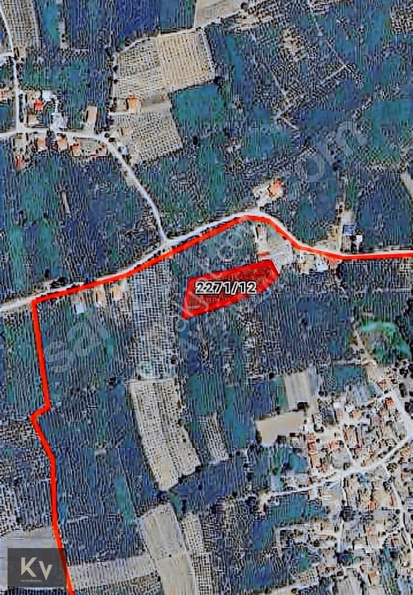 Kv Gayrimenkul'den Hendek Türbe Mahallesi Satılık Fındık Bahçesi - Görsel 6