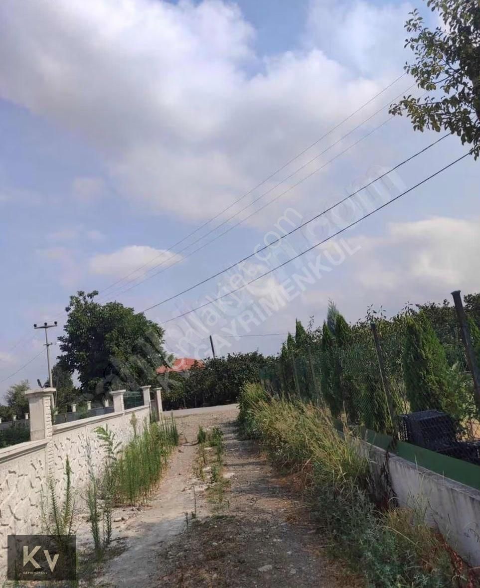 Kv Gayrimenkul'den Hendek Türbe Mahallesi Satılık Fındık Bahçesi - Görsel 8