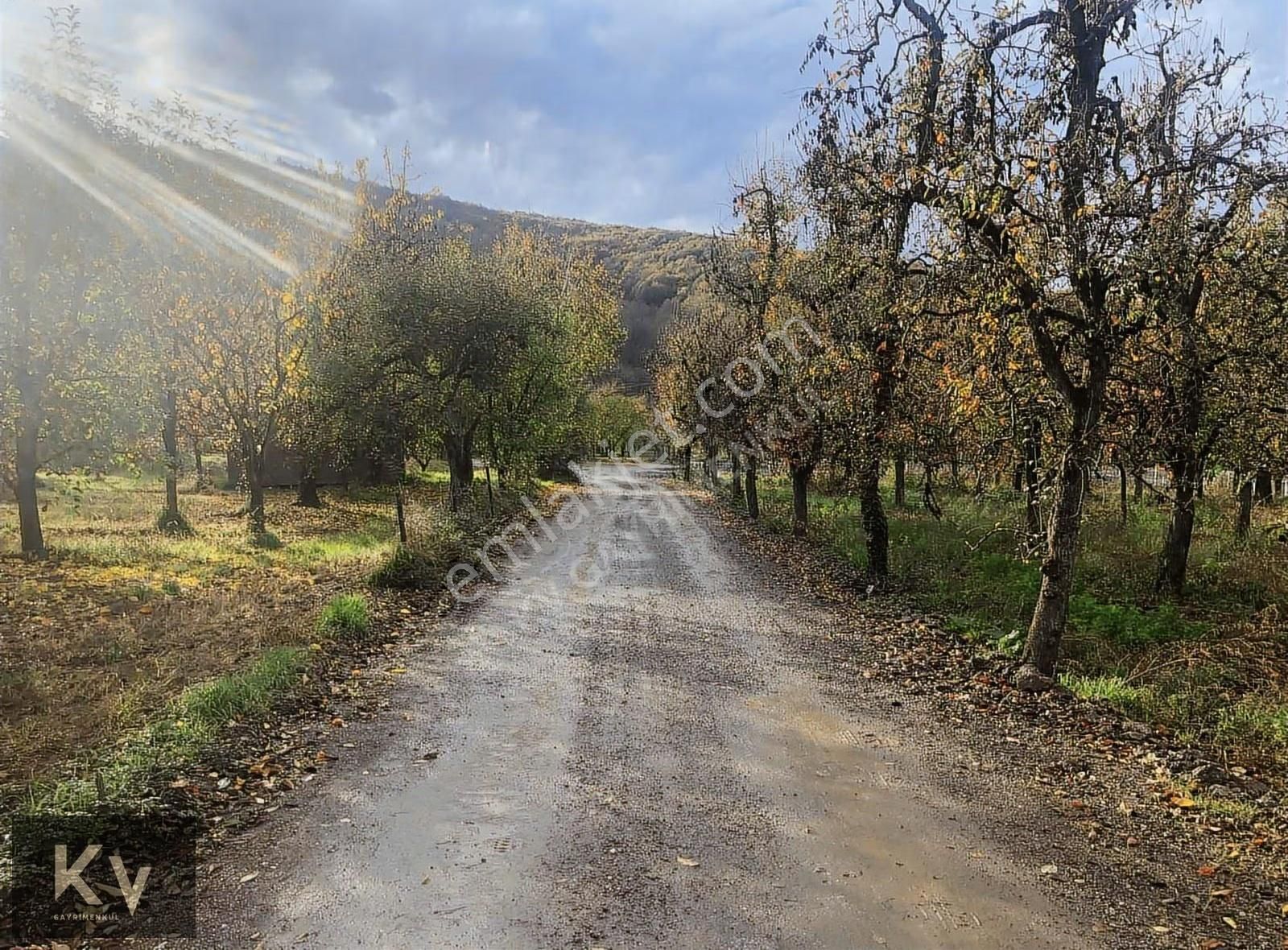 Kv Gayrimenkul'den Maşukiye'de Mükemmel Konumda Satılık Arazi - Görsel 5