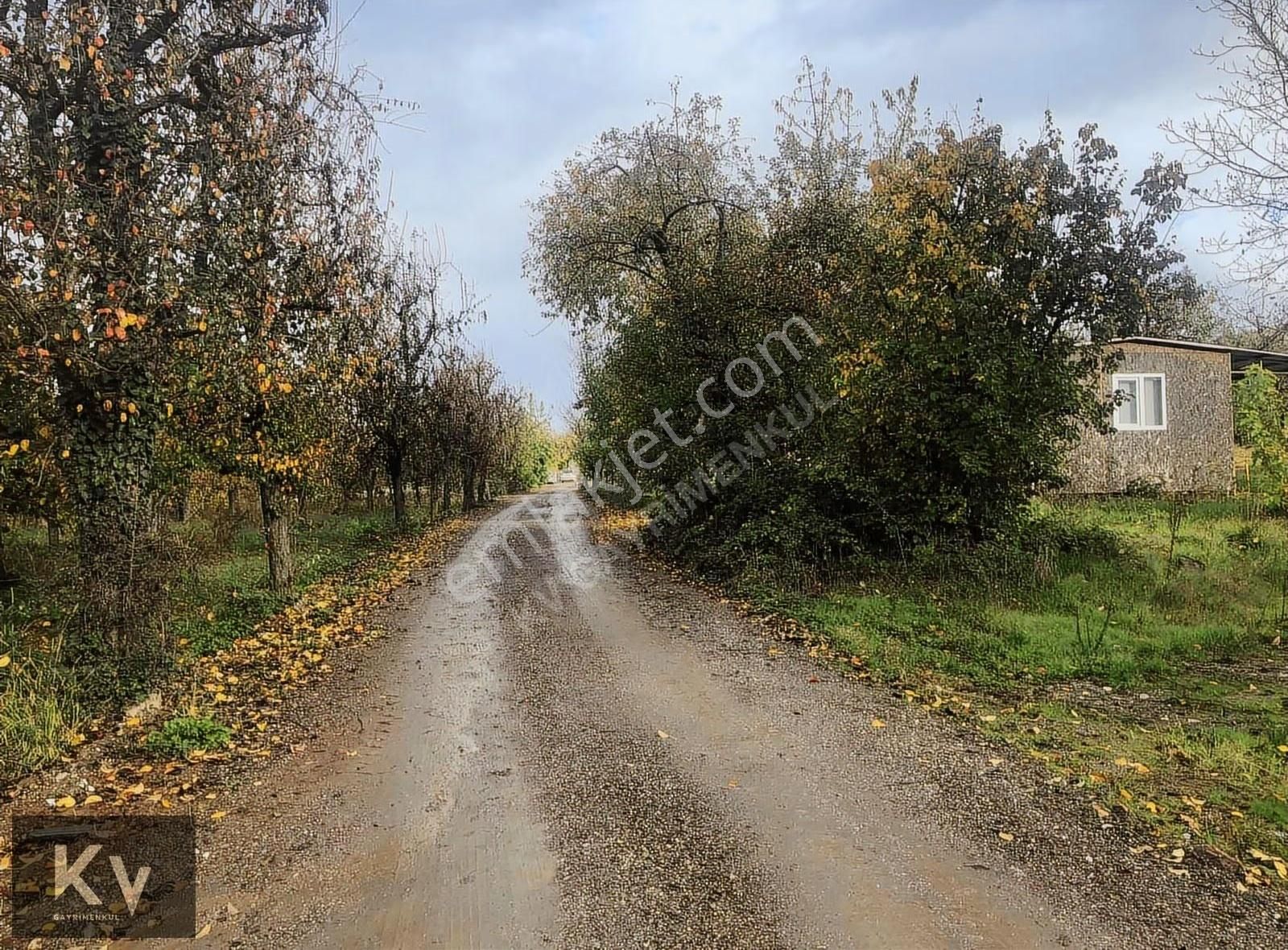 Kv Gayrimenkul'den Maşukiye'de Mükemmel Konumda Satılık Arazi - Görsel 11