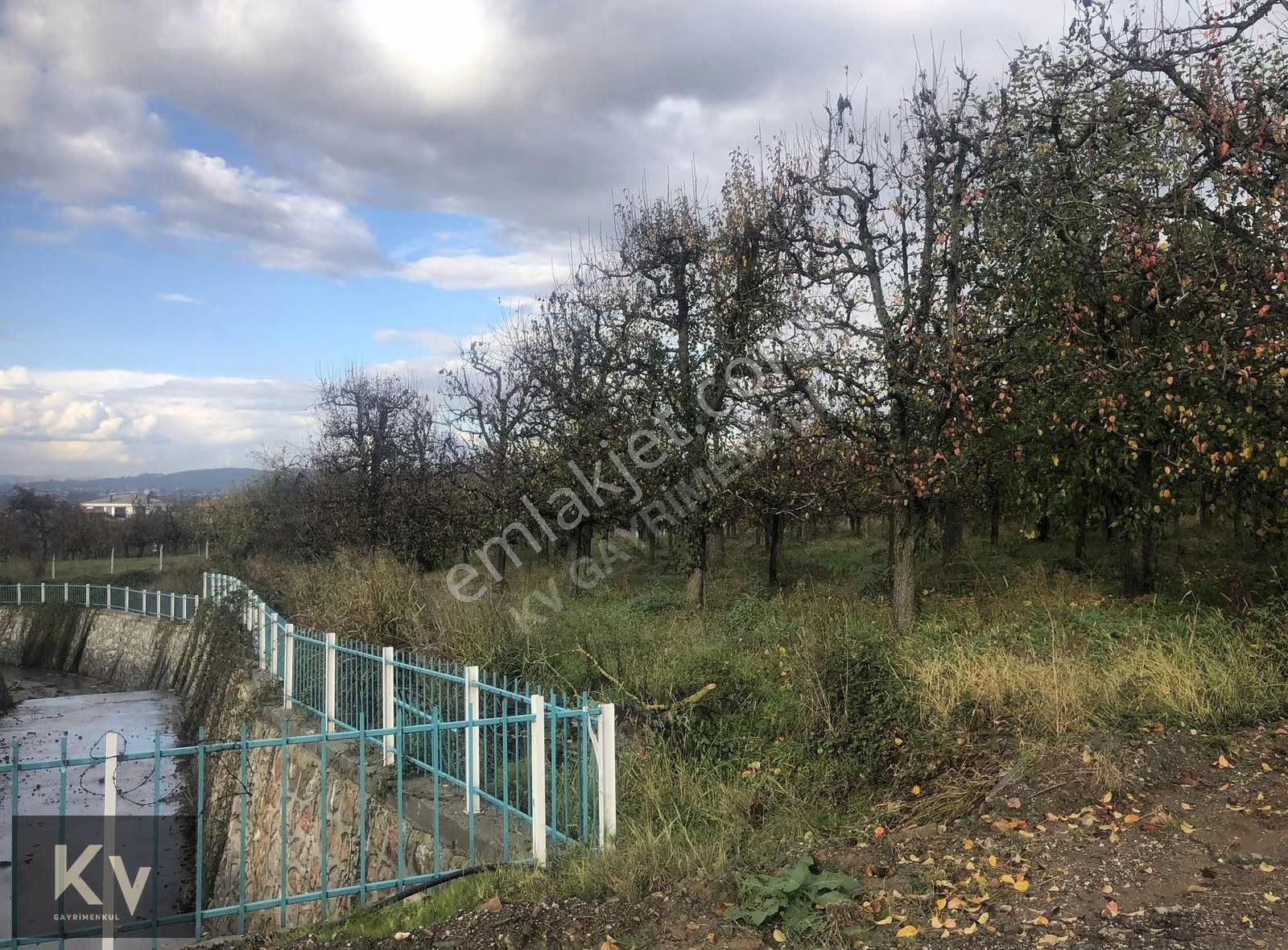 Kv Gayrimenkul'den Maşukiye'de Mükemmel Konumda Satılık Arazi - Görsel 2