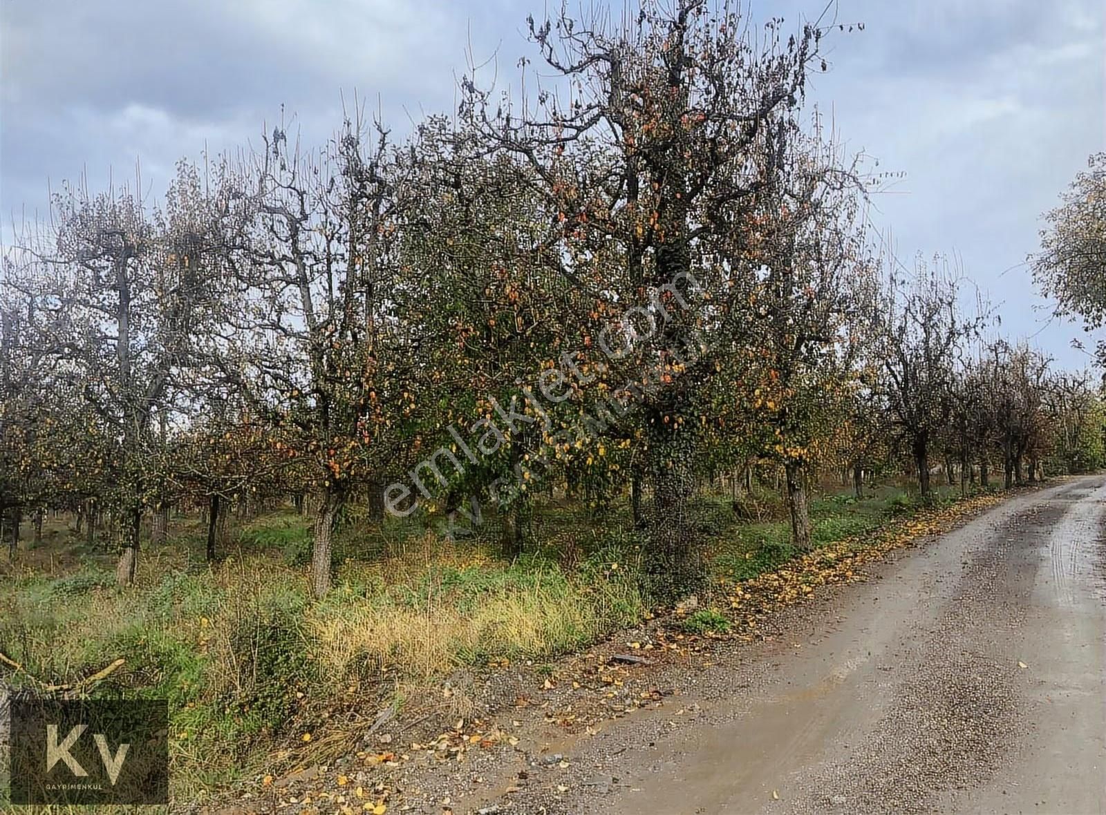 Kv Gayrimenkul'den Maşukiye'de Mükemmel Konumda Satılık Arazi - Görsel 6