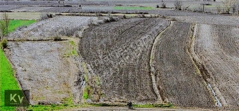 Kv Gayrimenkul'den Söğütlü Akarca'da Yatırımlık Satılık Arazi - Görsel 14