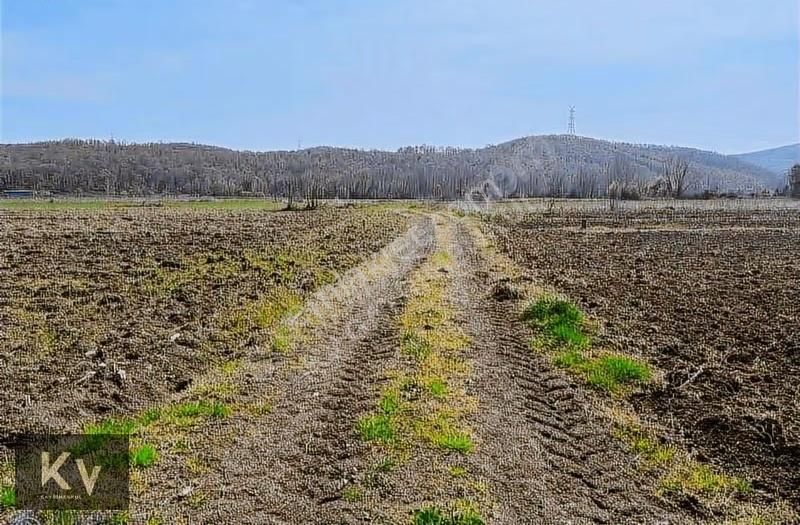 Kv Gayrimenkul'den Söğütlü Akarca'da Yatırımlık Satılık Arazi - Görsel 10
