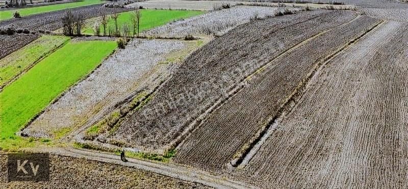 Kv Gayrimenkul'den Söğütlü Akarca'da Yatırımlık Satılık Arazi - Görsel 2