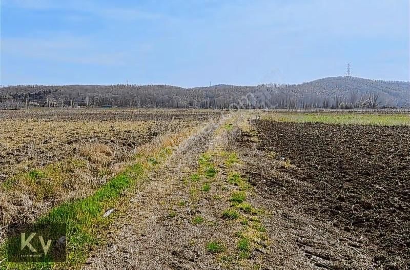 Kv Gayrimenkul'den Söğütlü Akarca'da Yatırımlık Satılık Arazi - Görsel 5