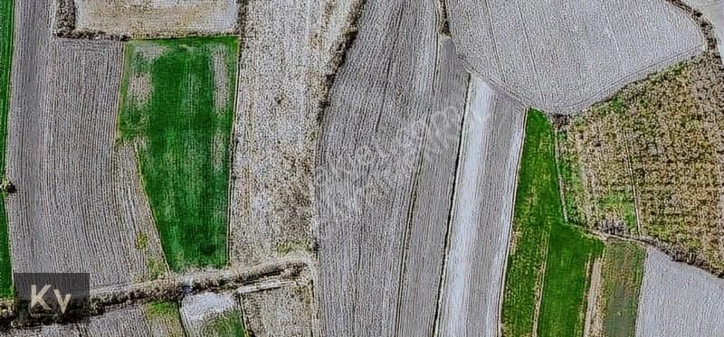 Kv Gayrimenkul'den Söğütlü Akarca'da Yatırımlık Satılık Arazi - Görsel 13