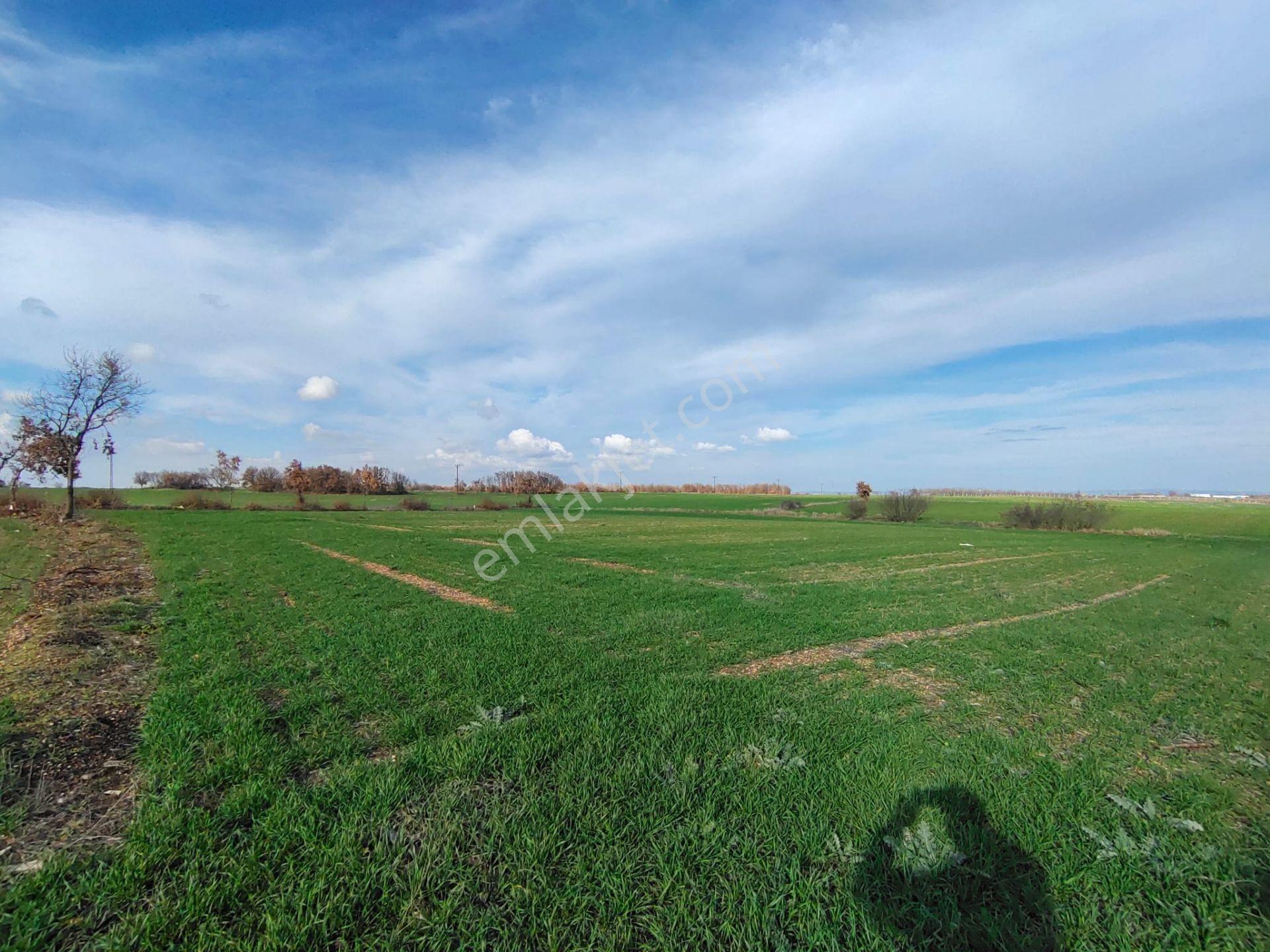 Kırklareli Vize Çüvenli Köyü Satılık 5.700 Mt² Tek Tapu Tarla