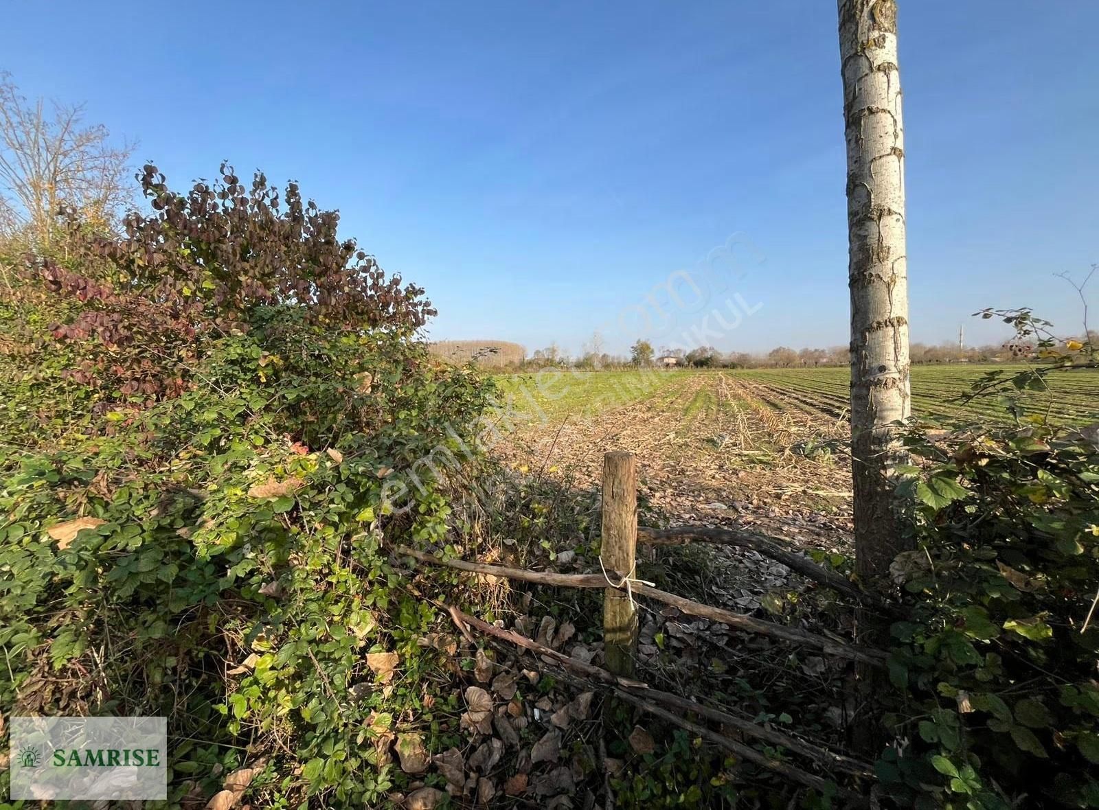 Samrise'dan Taşdemir Köyünde 6000 M² Satılık Fırsat Tarla - Görsel 3