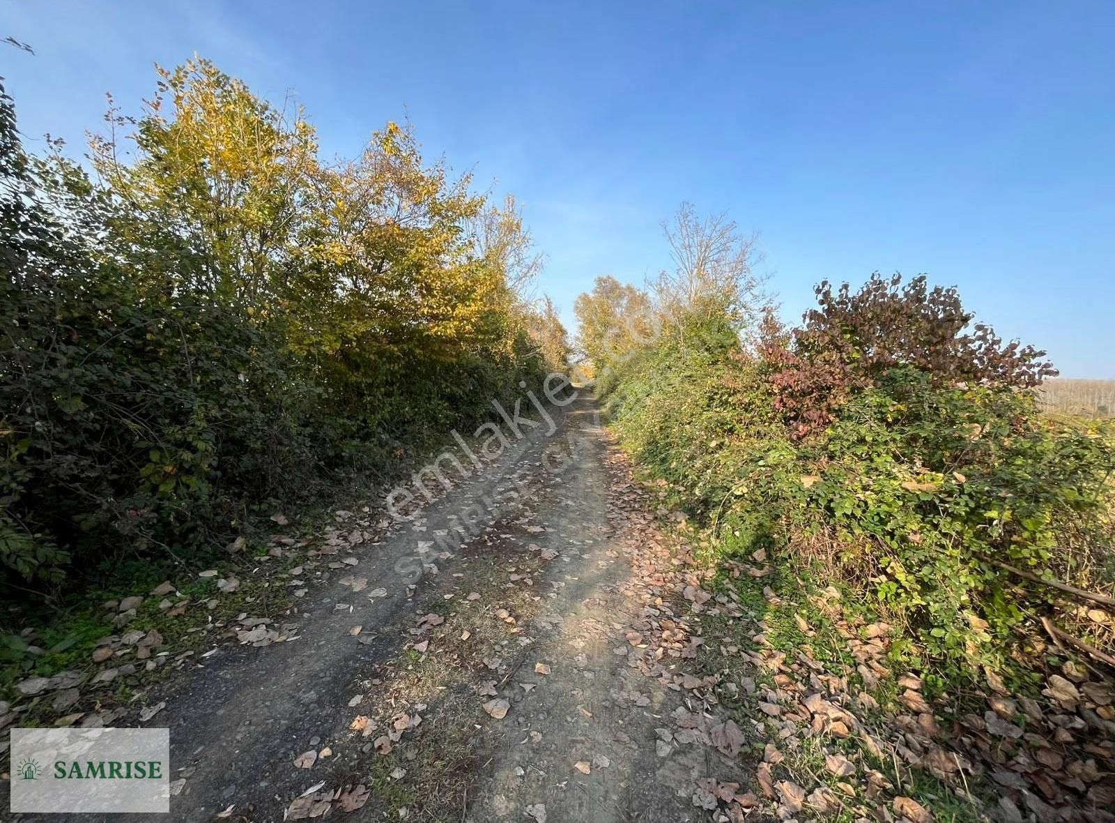 Samrise'dan Taşdemir Köyünde 6000 M² Satılık Fırsat Tarla - Görsel 2