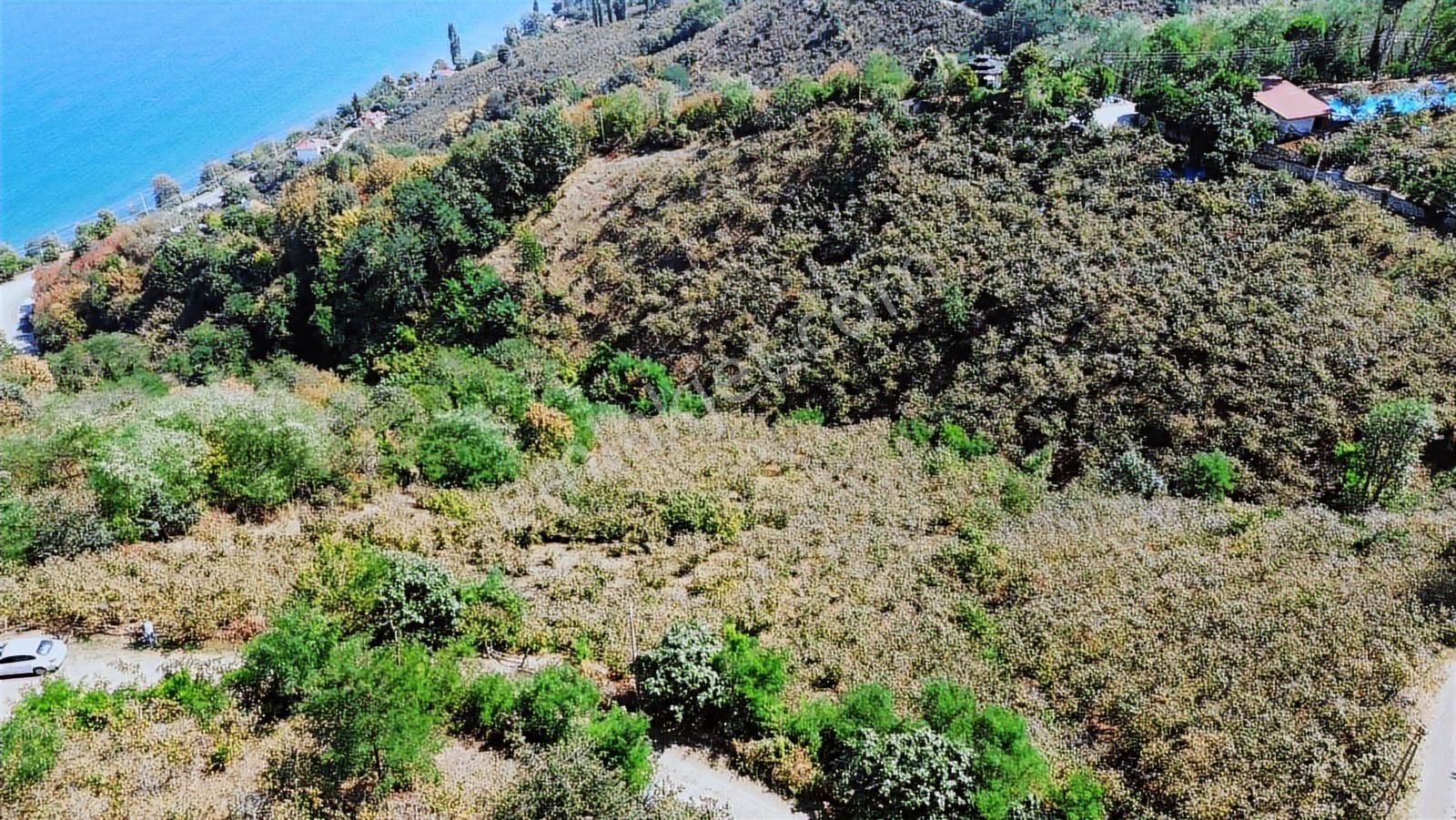 Ulu'dan Ordu Perşembe Dereiçi Mahallesinde 4078m2 Satılık Bahçe - Görsel 14