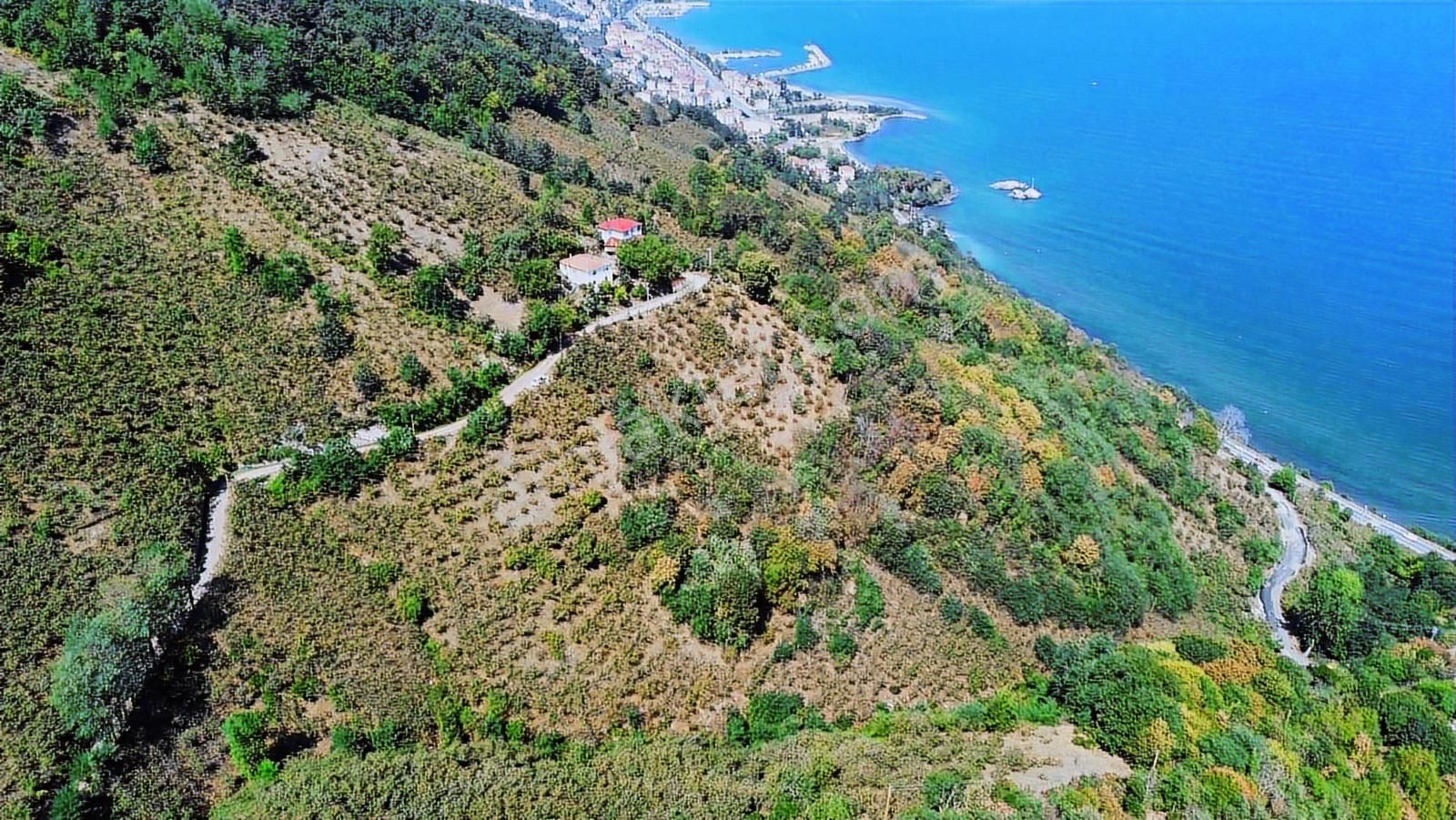 Ulu'dan Ordu Perşembe Dereiçi Mahallesinde 4078m2 Satılık Bahçe - Görsel 22