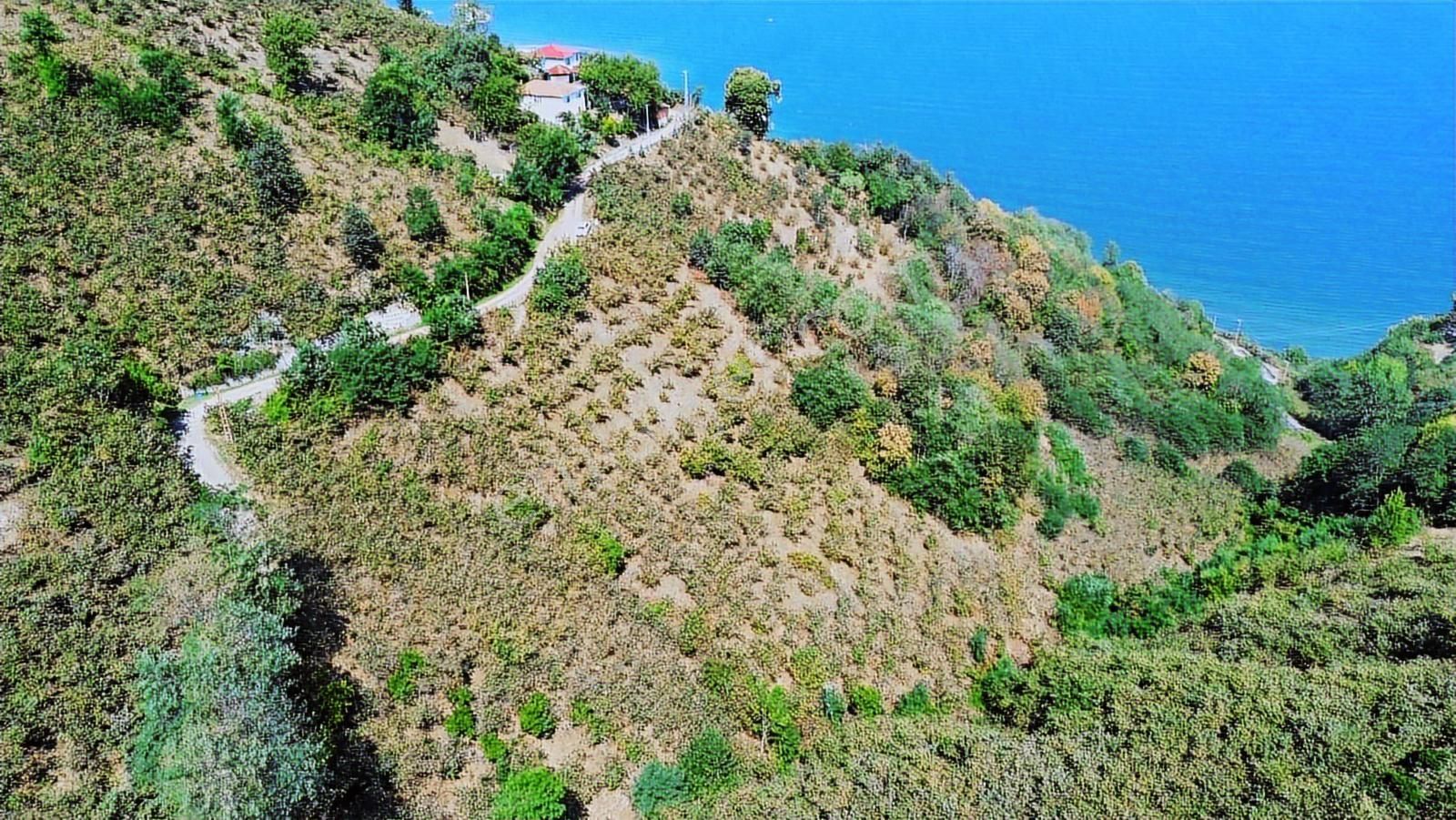 Ulu'dan Ordu Perşembe Dereiçi Mahallesinde 4078m2 Satılık Bahçe - Görsel 18