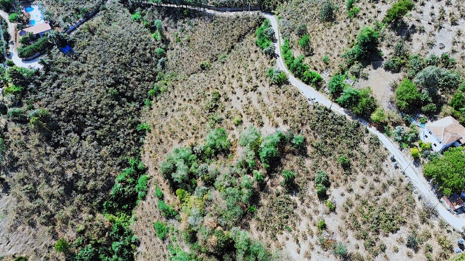 Ulu'dan Ordu Perşembe Dereiçi Mahallesinde 4078m2 Satılık Bahçe - Görsel 25
