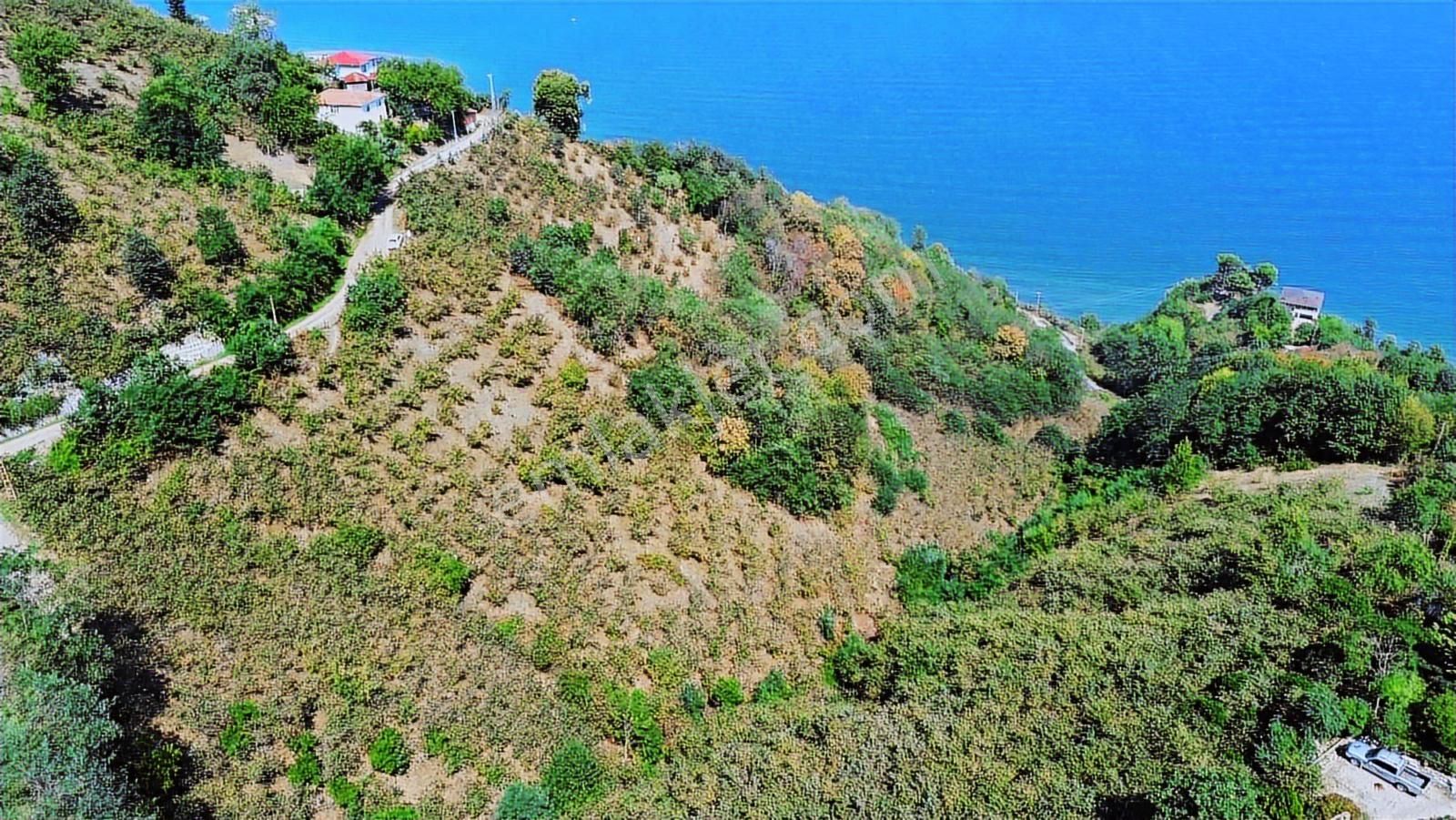 Ulu'dan Ordu Perşembe Dereiçi Mahallesinde 4078m2 Satılık Bahçe - Görsel 2