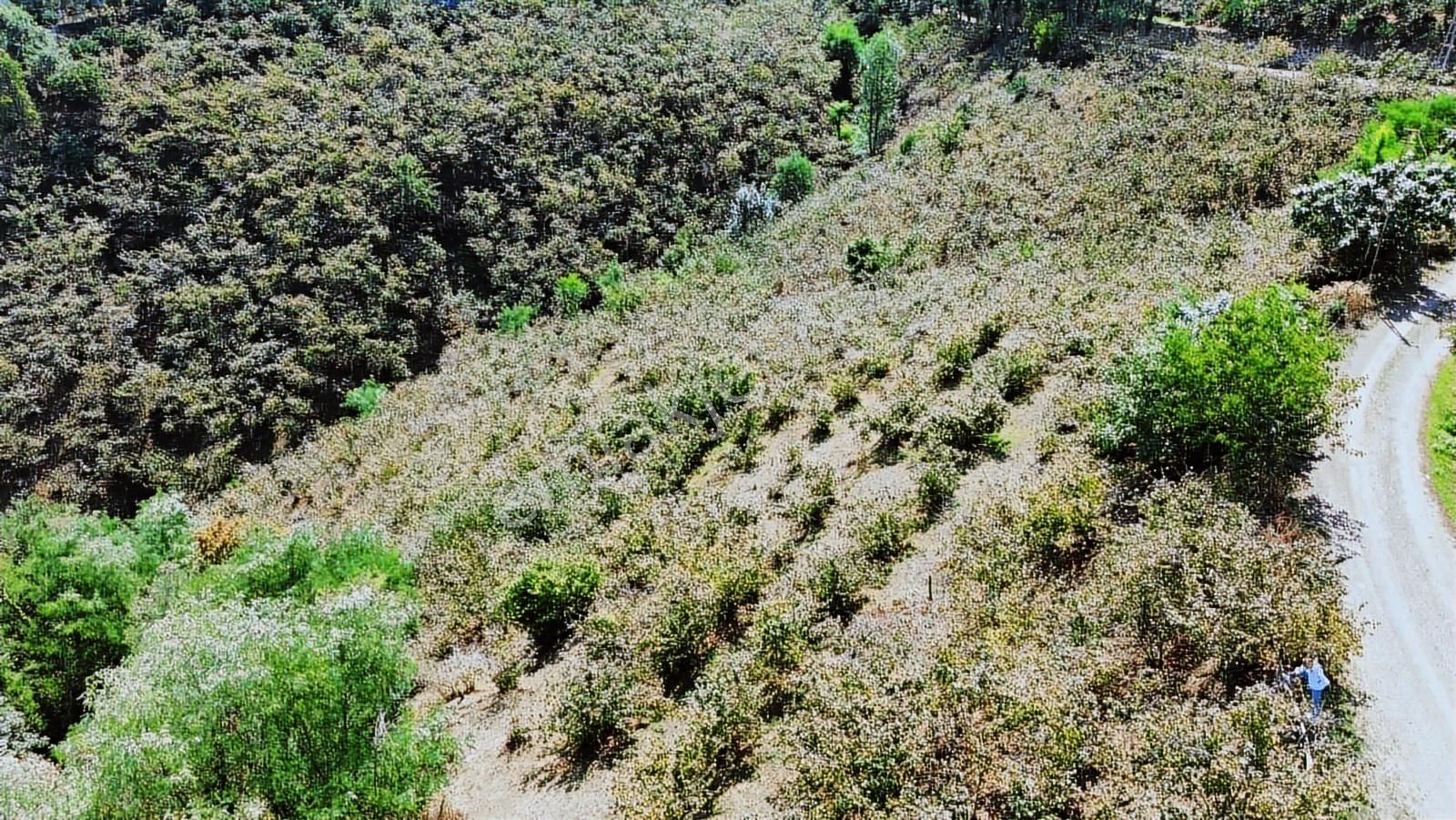 Ulu'dan Ordu Perşembe Dereiçi Mahallesinde 4078m2 Satılık Bahçe - Görsel 9