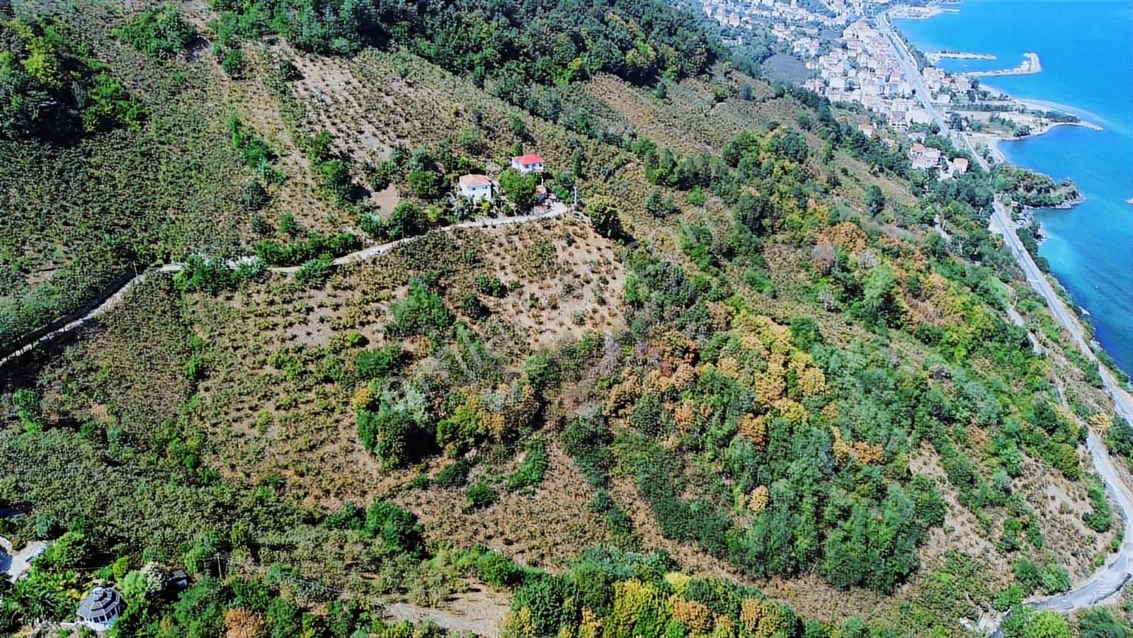 Ulu'dan Ordu Perşembe Dereiçi Mahallesinde 4078m2 Satılık Bahçe - Görsel 23