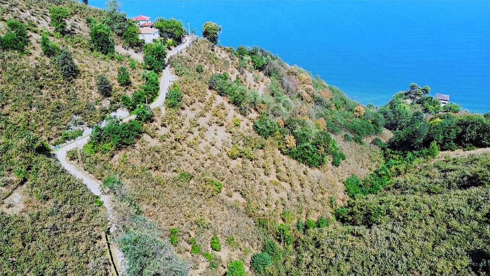 Ulu'dan Ordu Perşembe Dereiçi Mahallesinde 4078m2 Satılık Bahçe - Görsel 20