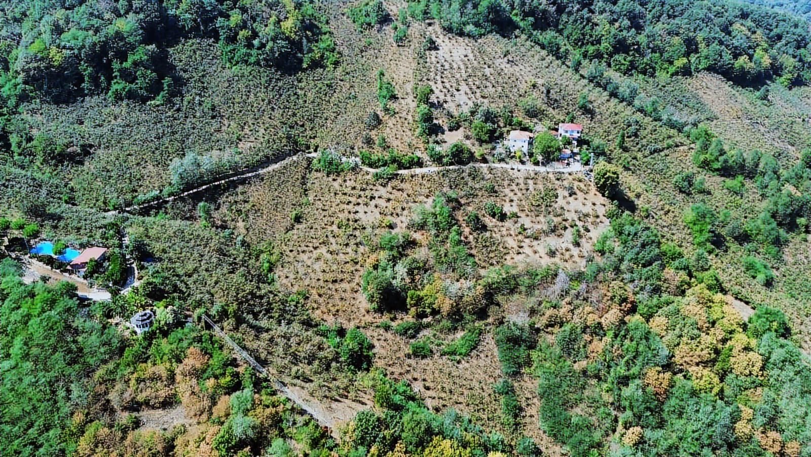 Ulu'dan Ordu Perşembe Dereiçi Mahallesinde 4078m2 Satılık Bahçe - Görsel 7