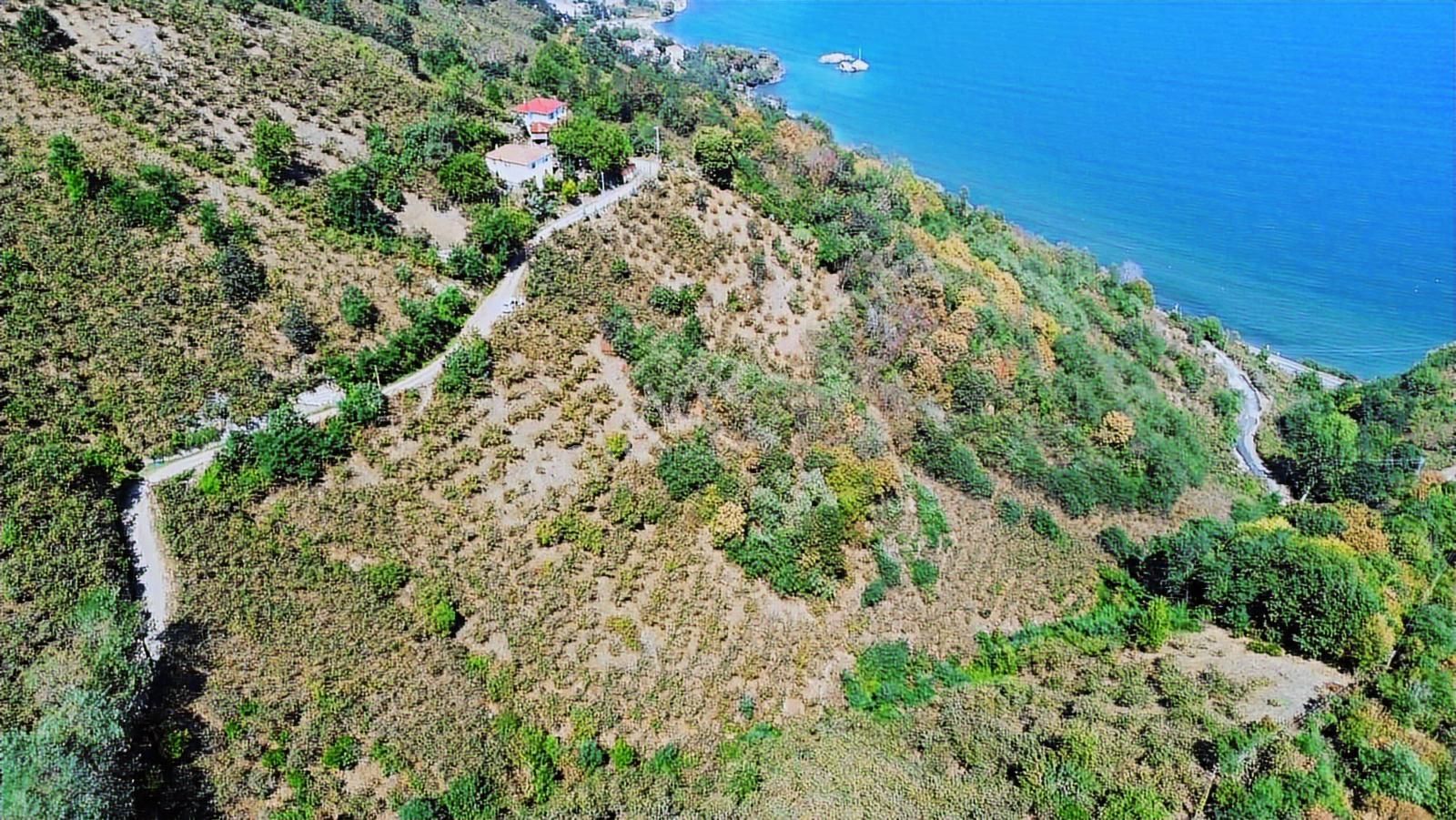Ulu'dan Ordu Perşembe Dereiçi Mahallesinde 4078m2 Satılık Bahçe - Görsel 21