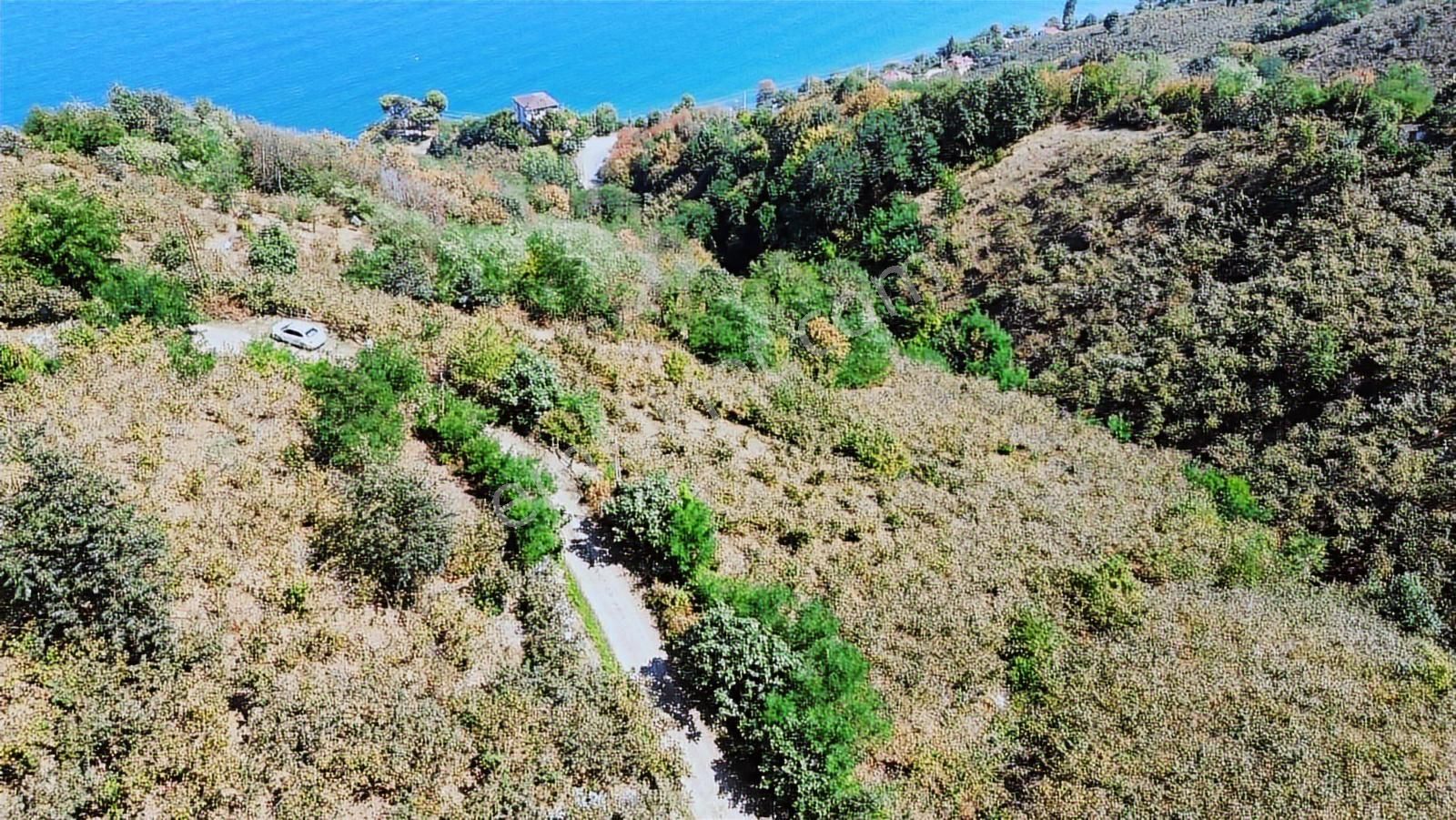 Ulu'dan Ordu Perşembe Dereiçi Mahallesinde 4078m2 Satılık Bahçe - Görsel 10