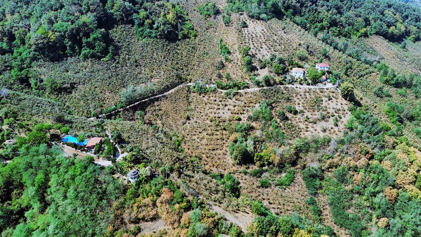 Ulu'dan Ordu Perşembe Dereiçi Mahallesinde 4078m2 Satılık Bahçe - Görsel 6