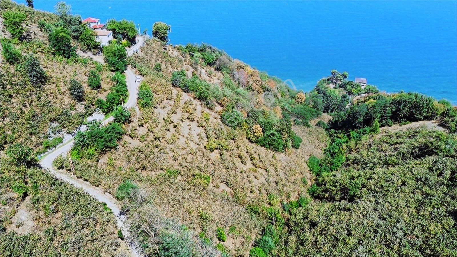 Ulu'dan Ordu Perşembe Dereiçi Mahallesinde 4078m2 Satılık Bahçe - Görsel 31