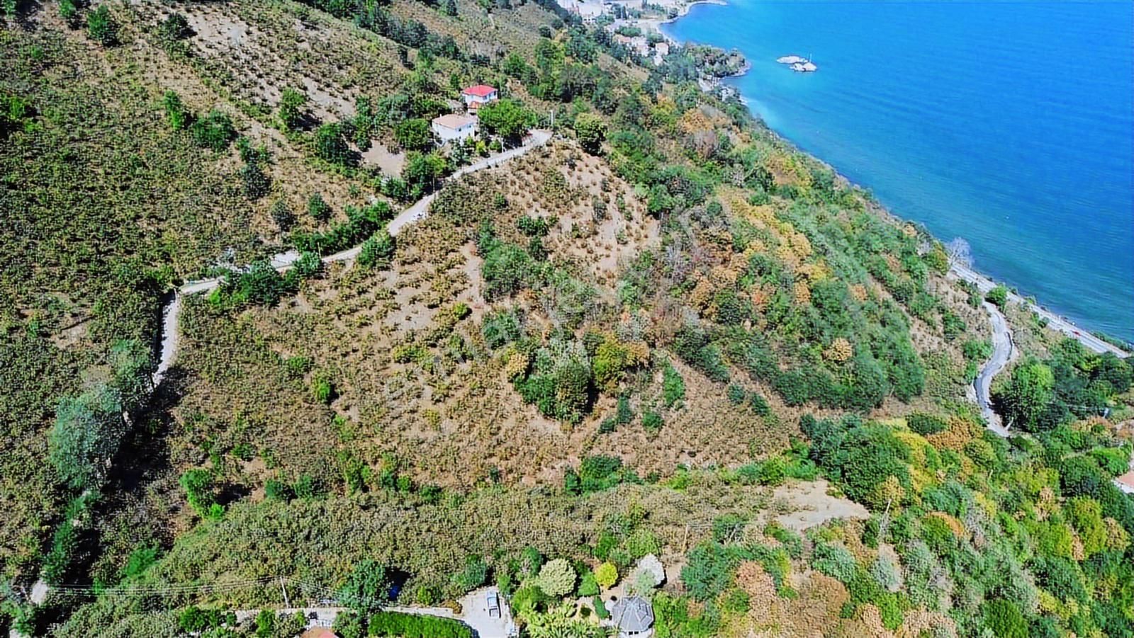 Ulu'dan Ordu Perşembe Dereiçi Mahallesinde 4078m2 Satılık Bahçe - Görsel 28