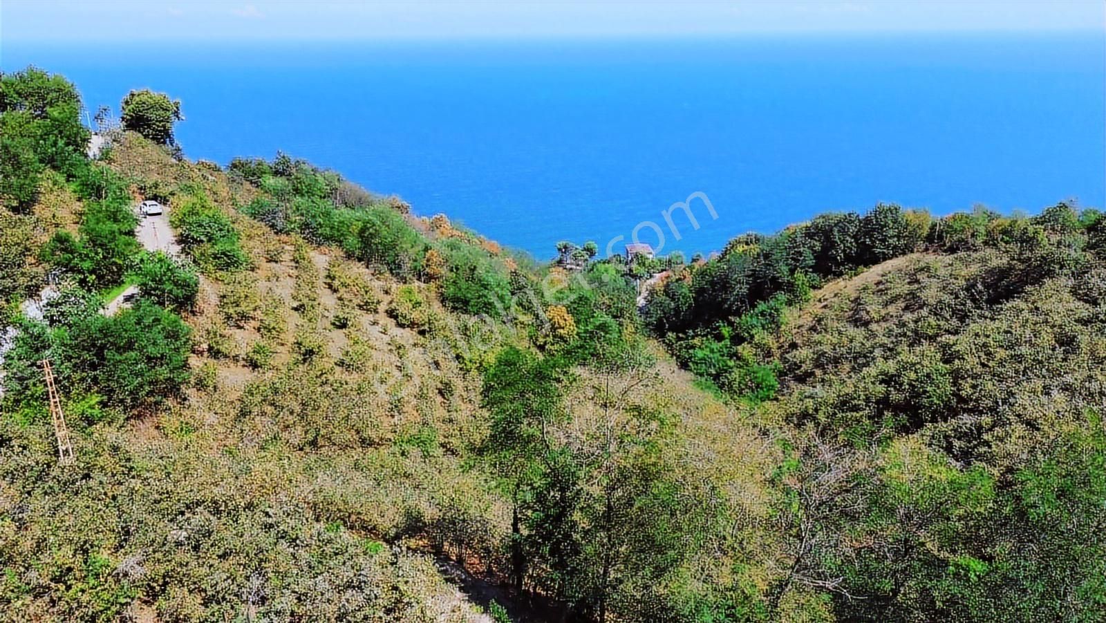 Ulu'dan Ordu Perşembe Dereiçi Mahallesinde 4078m2 Satılık Bahçe - Görsel 26