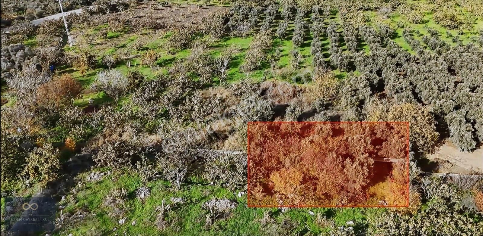 Nilüfer Gölyazı Satılık Müstakil Tarla