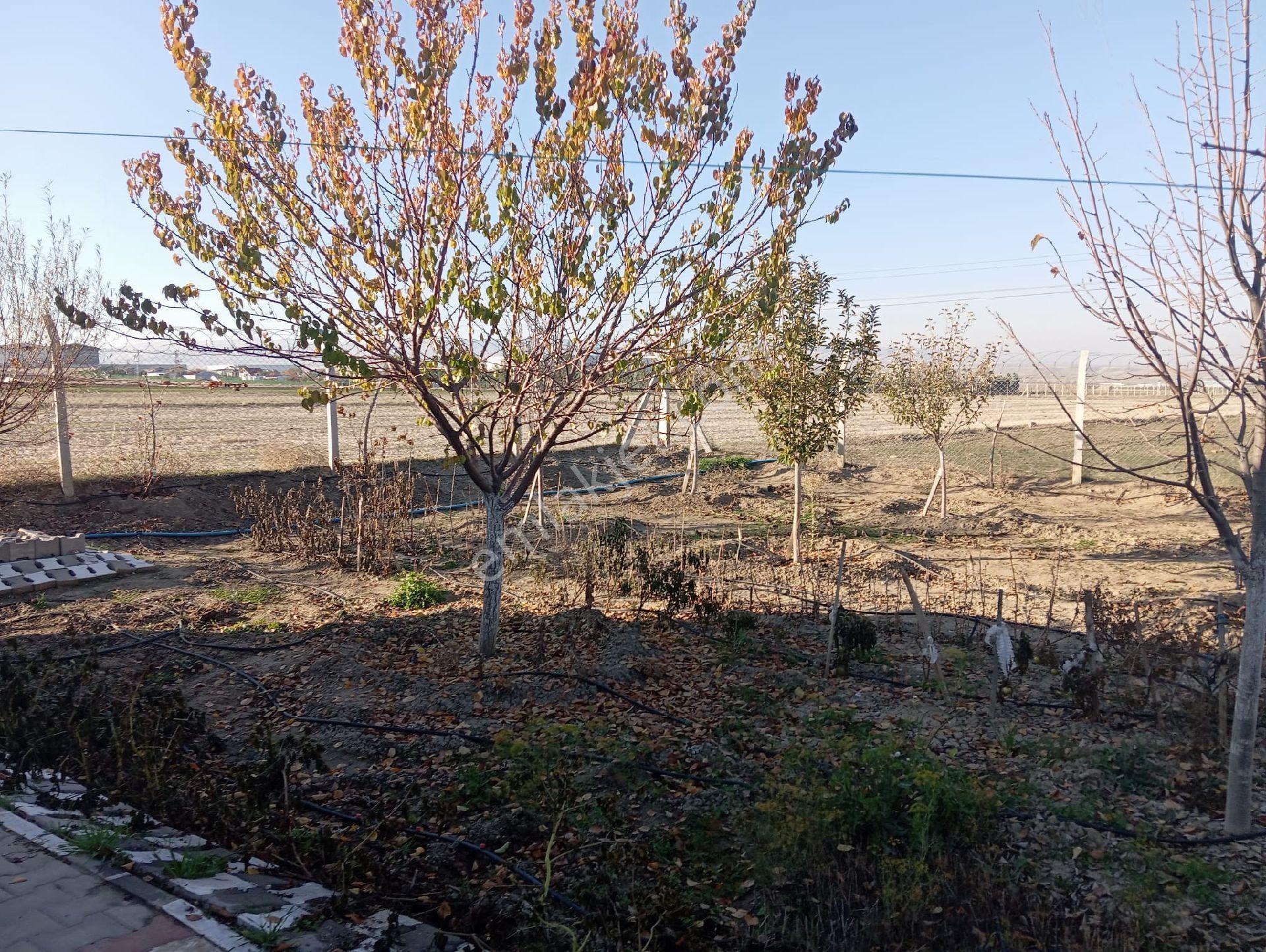 Temelli De Satılık Villa - Görsel 20