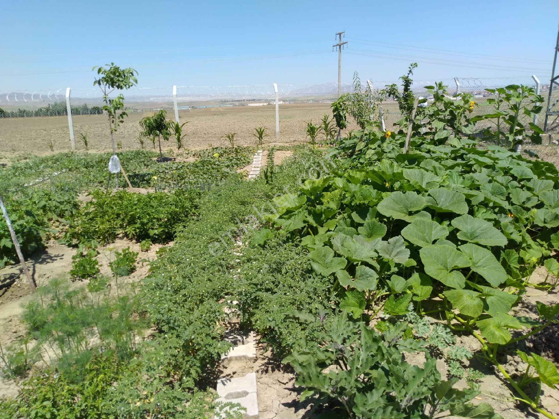 Temelli De Satılık Villa - Görsel 23