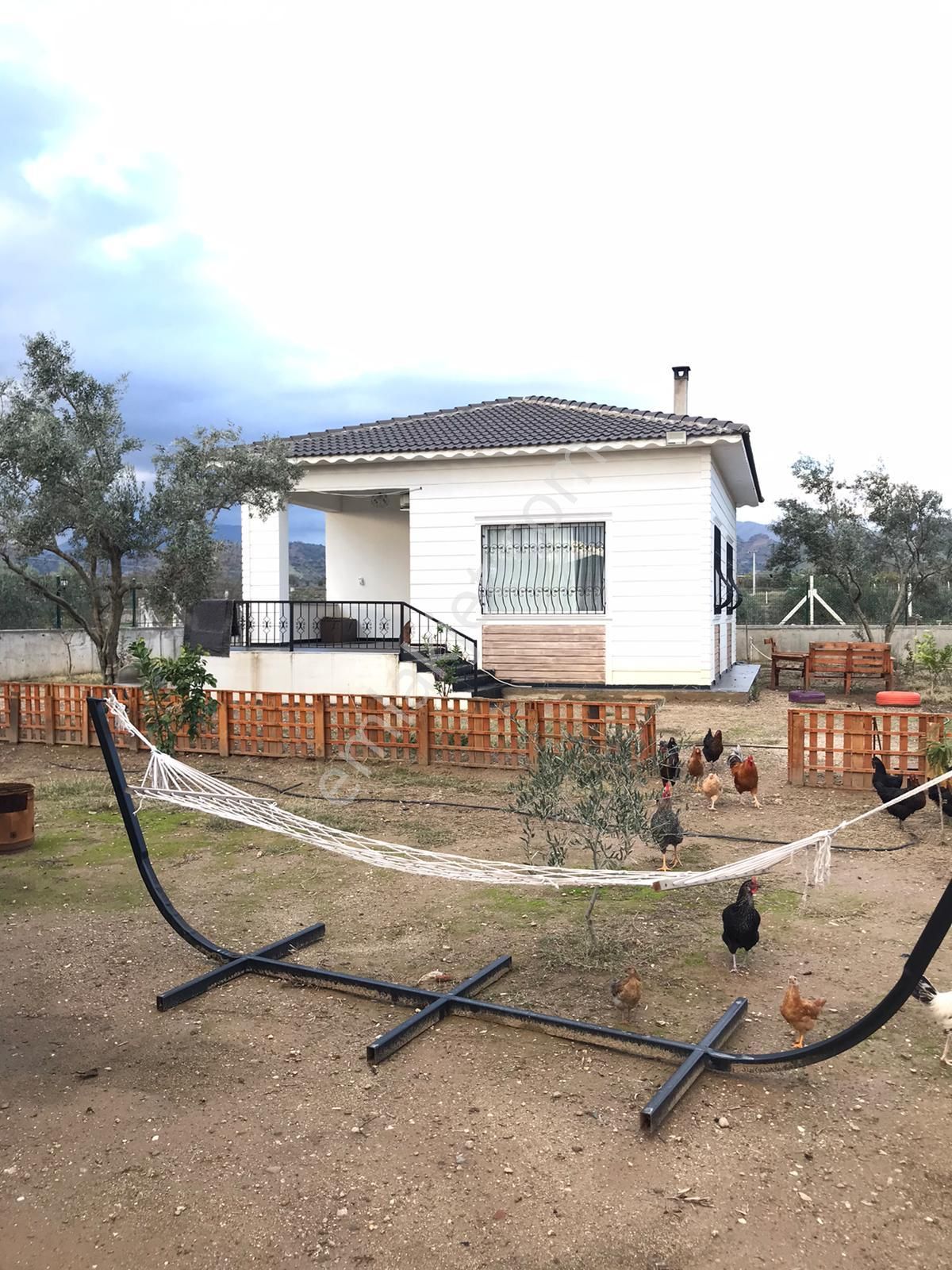 Konut Emlaktan 6400 M2 Zeytinlik Ve İçerisinde 80 M2 Müstakil Ev - Görsel 2