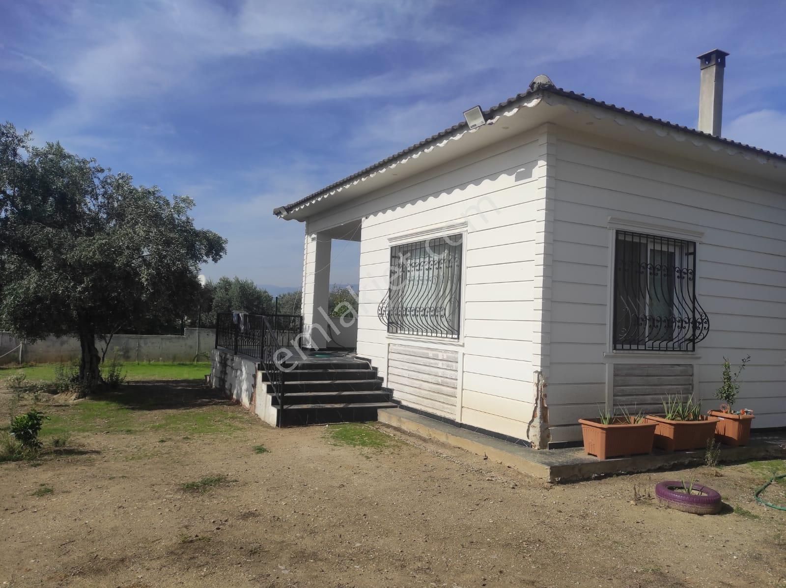 Konut Emlaktan 6400 M2 Zeytinlik Ve İçerisinde 80 M2 Müstakil Ev