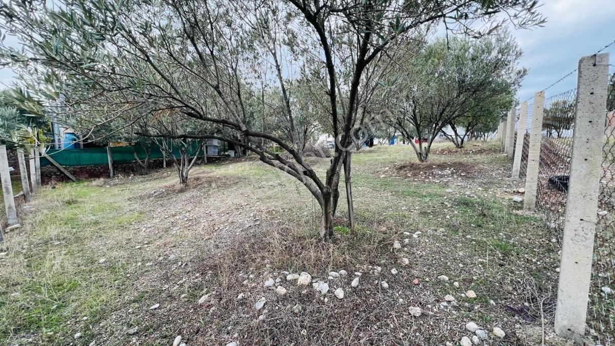 Belenbaşı Köyünde Müstakil Tapulu 545 M2 Satılık Tarla