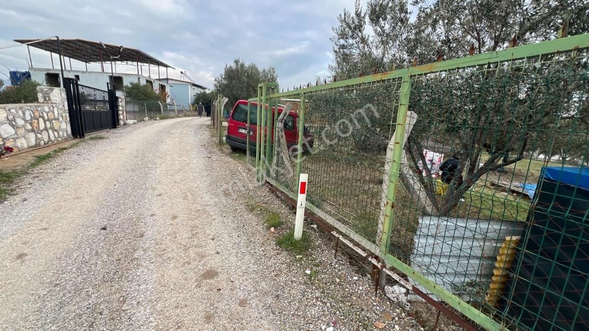 Belenbaşı Köyünde Müstakil Tapulu 545 M2 Satılık Tarla - Görsel 15