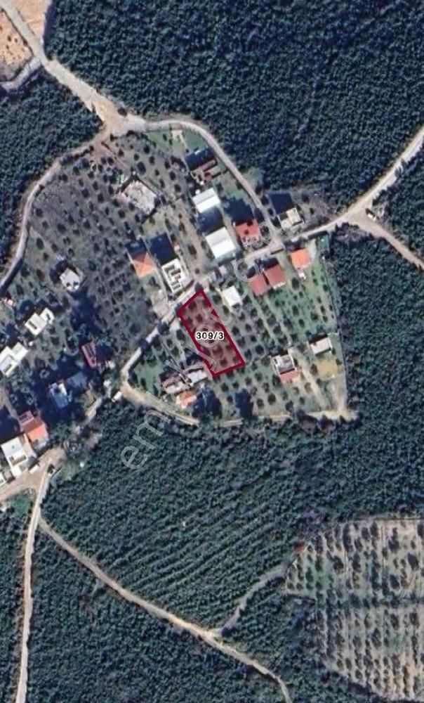 Belenbaşı Köyünde Müstakil Tapulu 545 M2 Satılık Tarla - Görsel 17