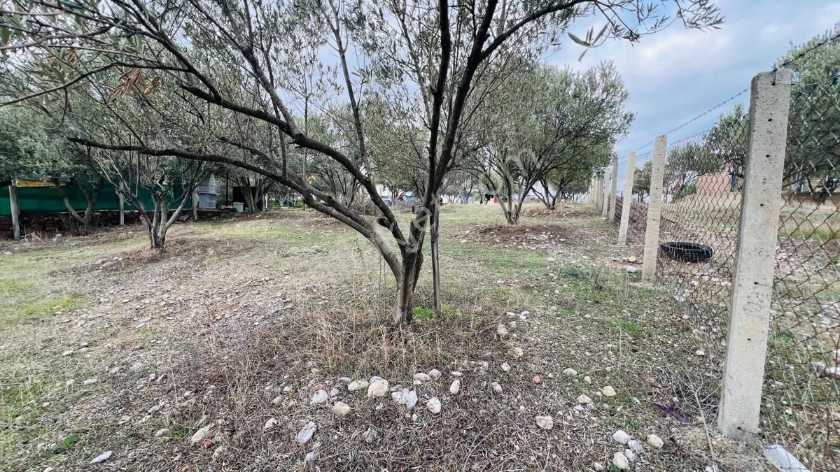 Belenbaşı Köyünde Müstakil Tapulu 545 M2 Satılık Tarla - Görsel 18