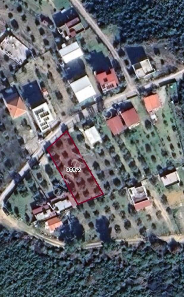 Belenbaşı Köyünde Müstakil Tapulu 545 M2 Satılık Tarla - Görsel 19