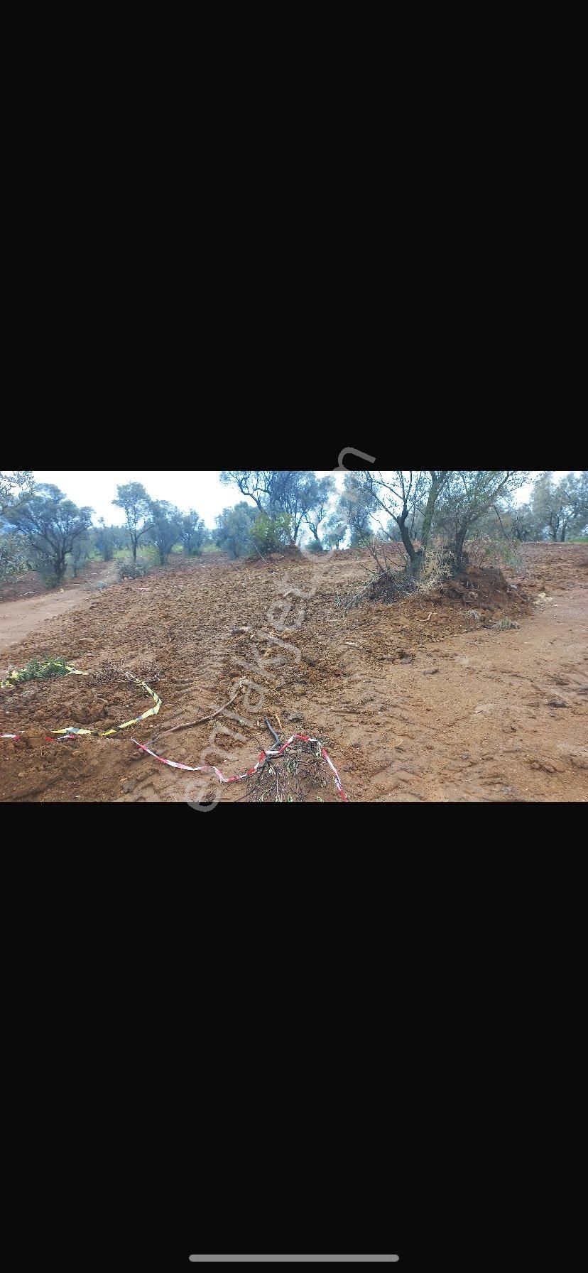 Alan Kazanır Daha Uygunu Yok - Görsel 5