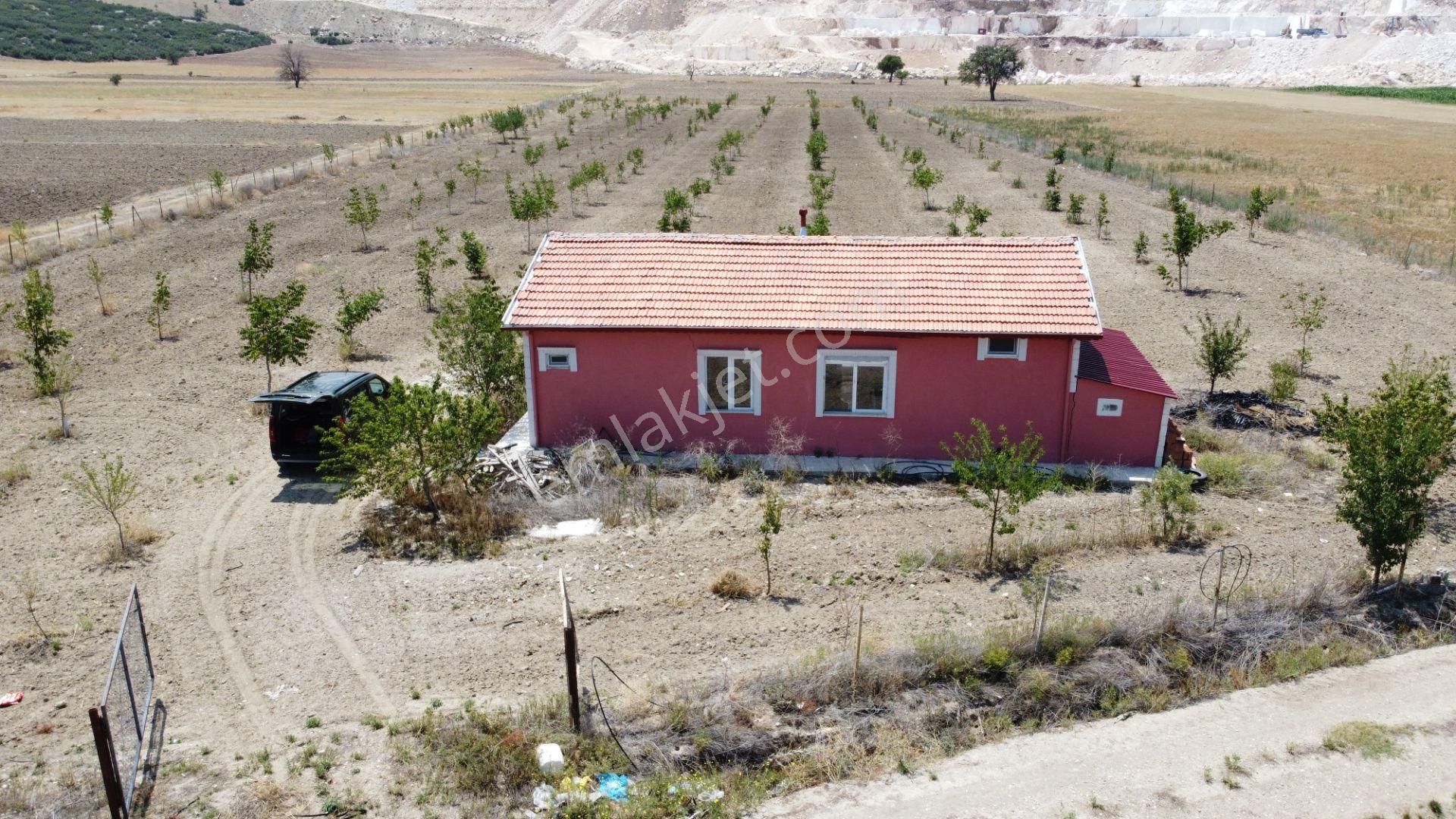 Ceviz , Badem Ağırlıklı, Meyva Ağaçları. İçinde Betonörme Yeni Evi Sulamasistemi Olan Fırsat Arsası - Görsel 4