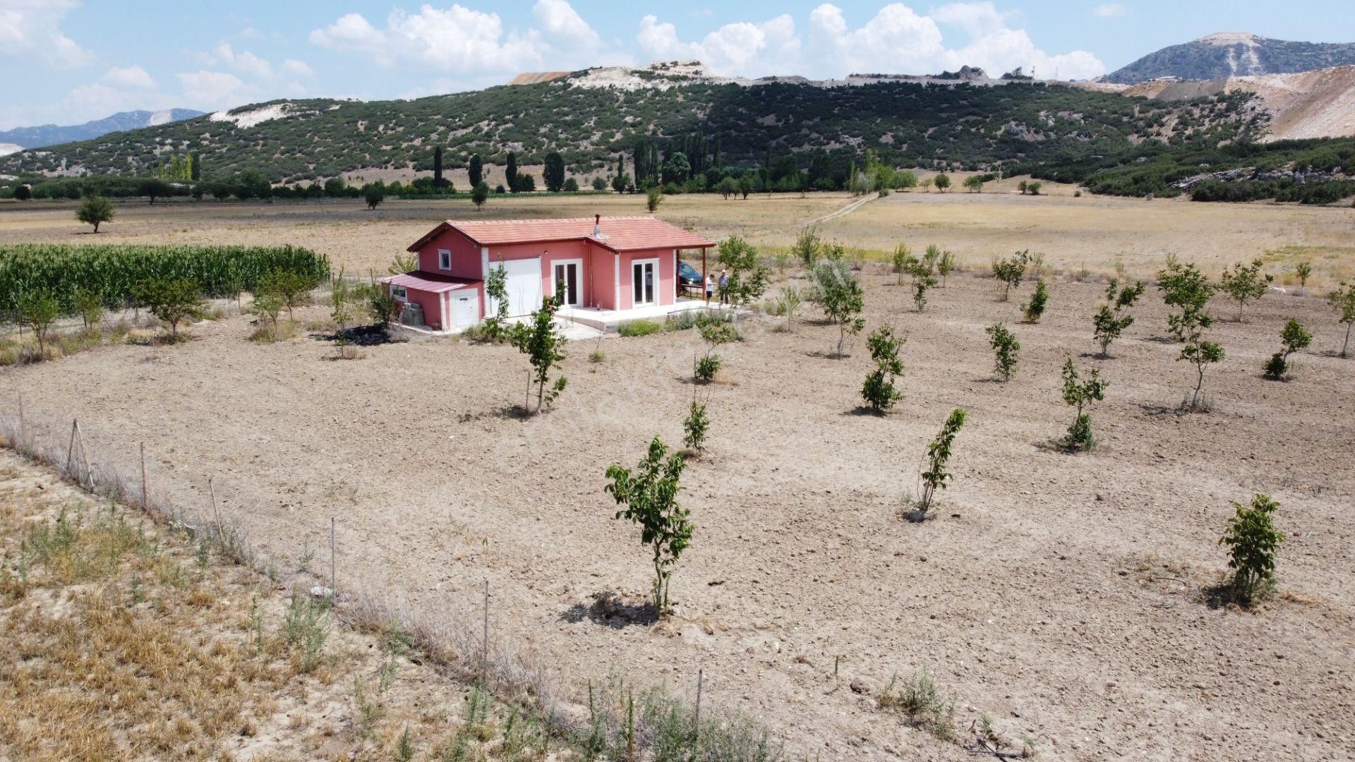 Ceviz , Badem Ağırlıklı, Meyva Ağaçları. İçinde Betonörme Yeni Evi Sulamasistemi Olan Fırsat Arsası - Görsel 7