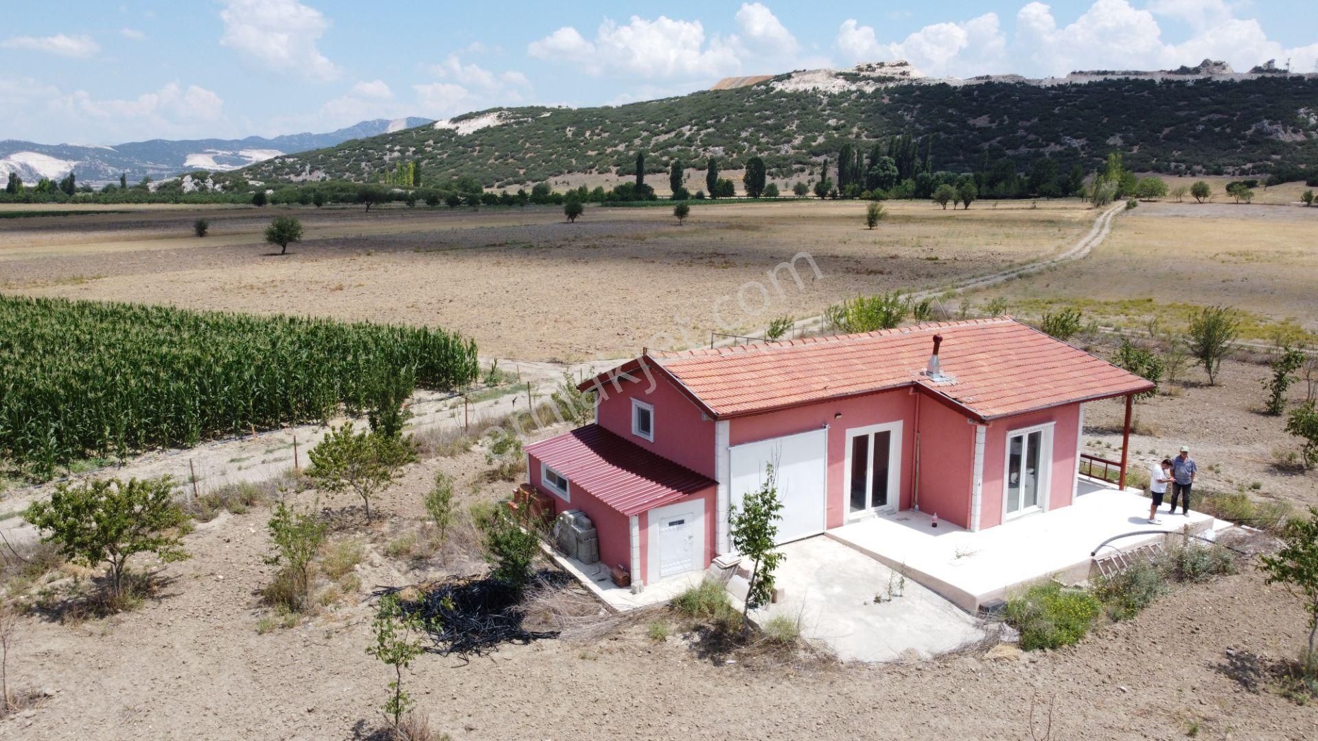 Ceviz , Badem Ağırlıklı, Meyva Ağaçları. İçinde Betonörme Yeni Evi Sulamasistemi Olan Fırsat Arsası - Görsel 10