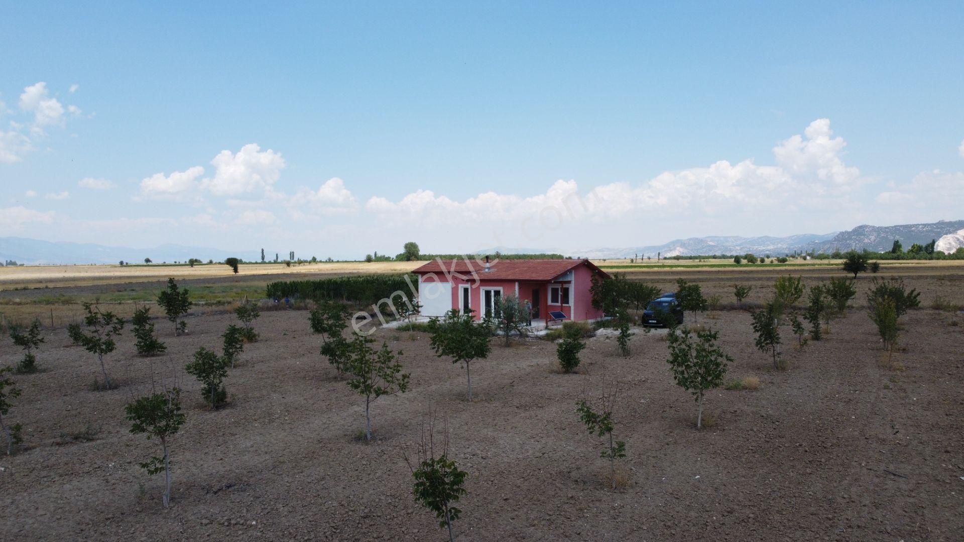 Ceviz , Badem Ağırlıklı, Meyva Ağaçları. İçinde Betonörme Yeni Evi Sulamasistemi Olan Fırsat Arsası - Görsel 9