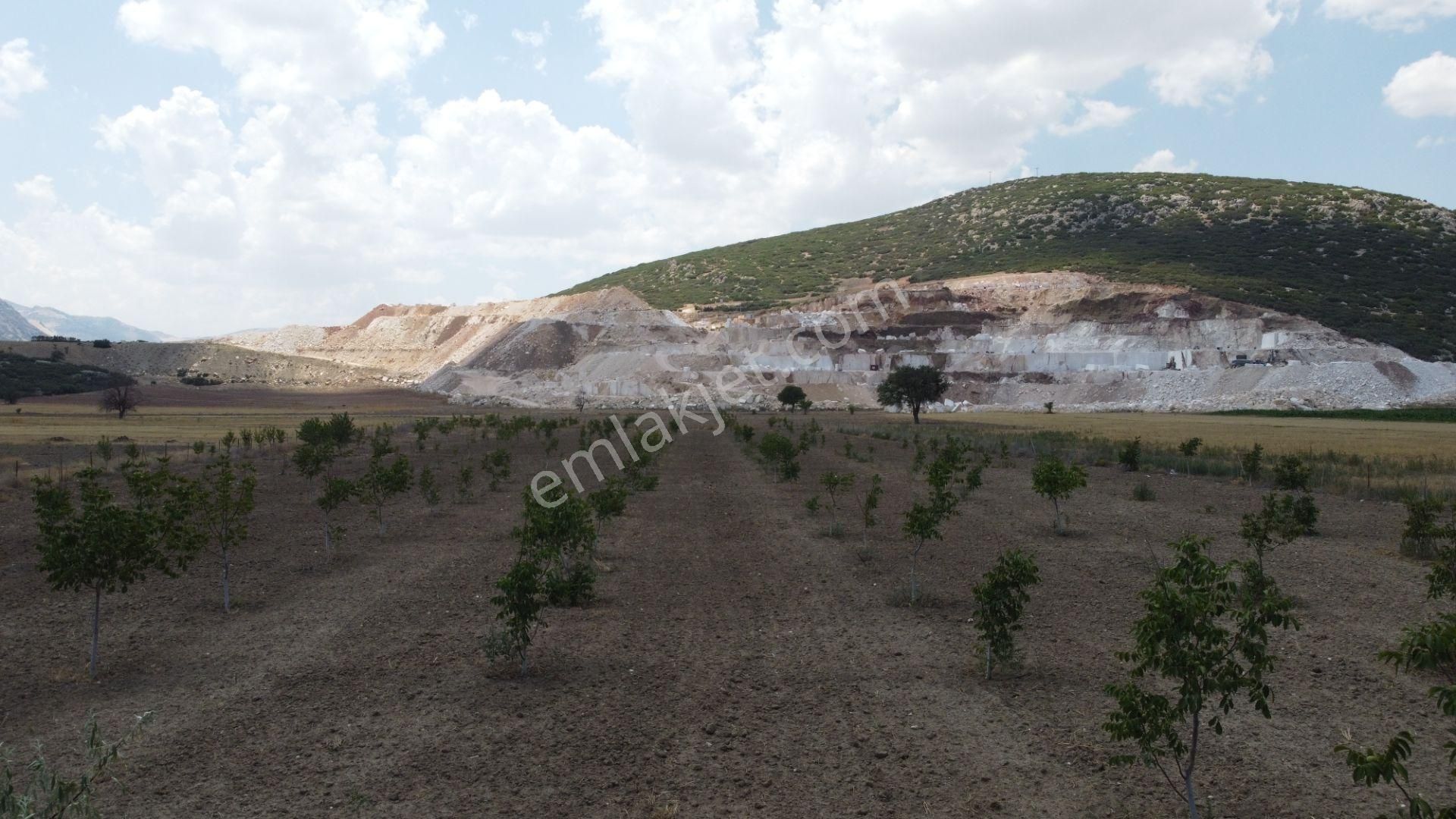 Ceviz , Badem Ağırlıklı, Meyva Ağaçları. İçinde Betonörme Yeni Evi Sulamasistemi Olan Fırsat Arsası - Görsel 5