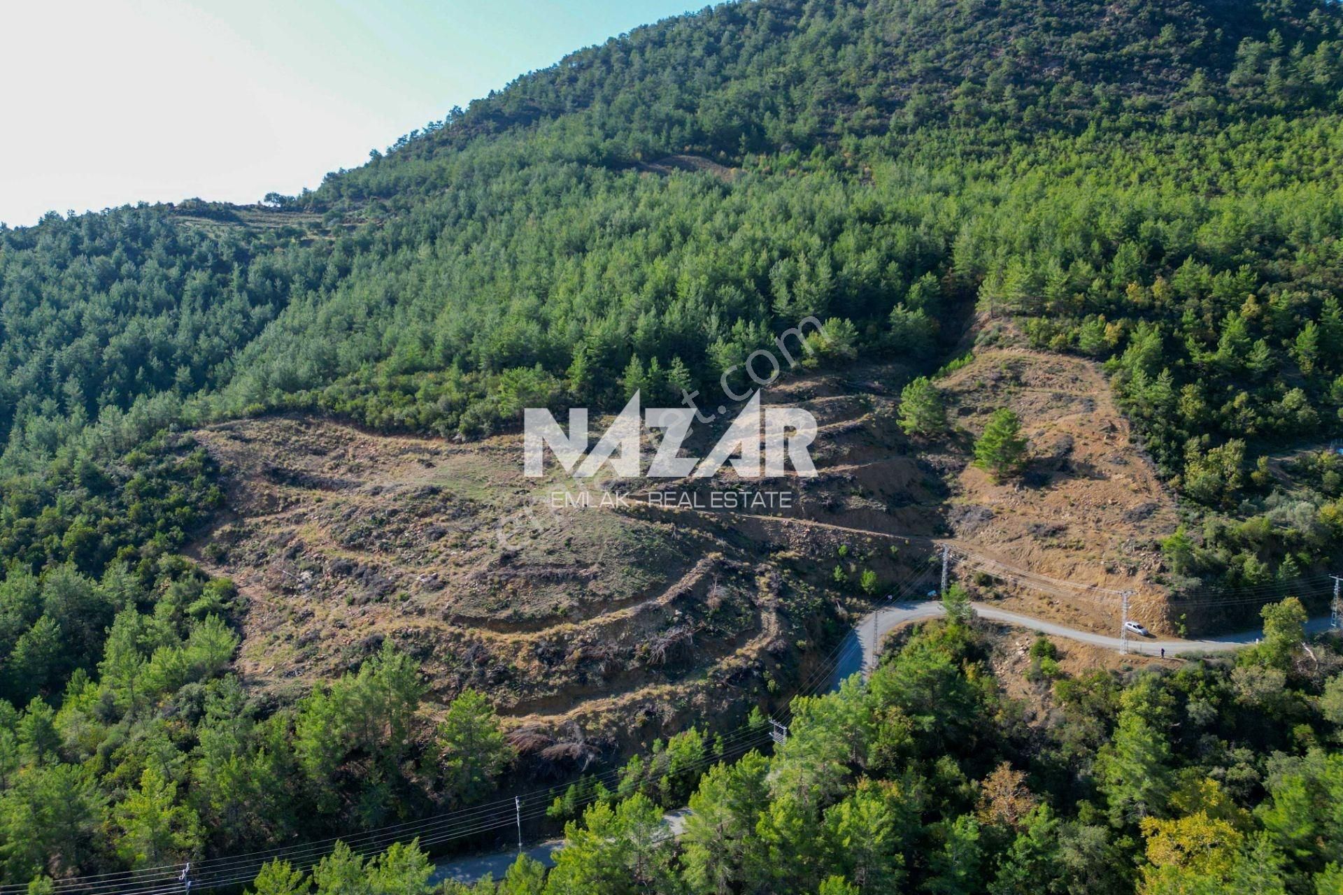 Gazipaşa İnceğiz’de 18.351 M² Satılık Tarla - Görsel 12