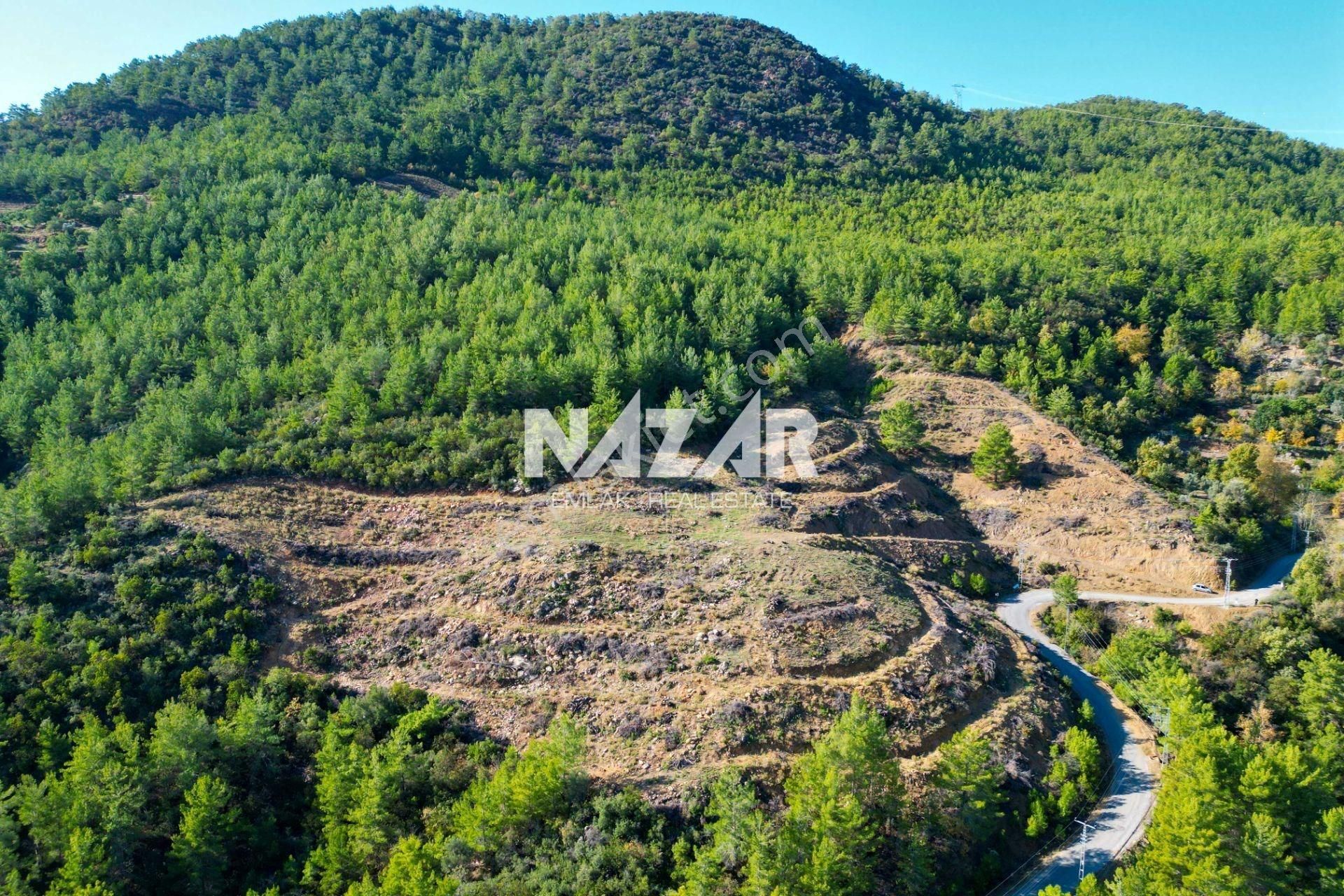 Gazipaşa İnceğiz’de 18.351 M² Satılık Tarla - Görsel 13